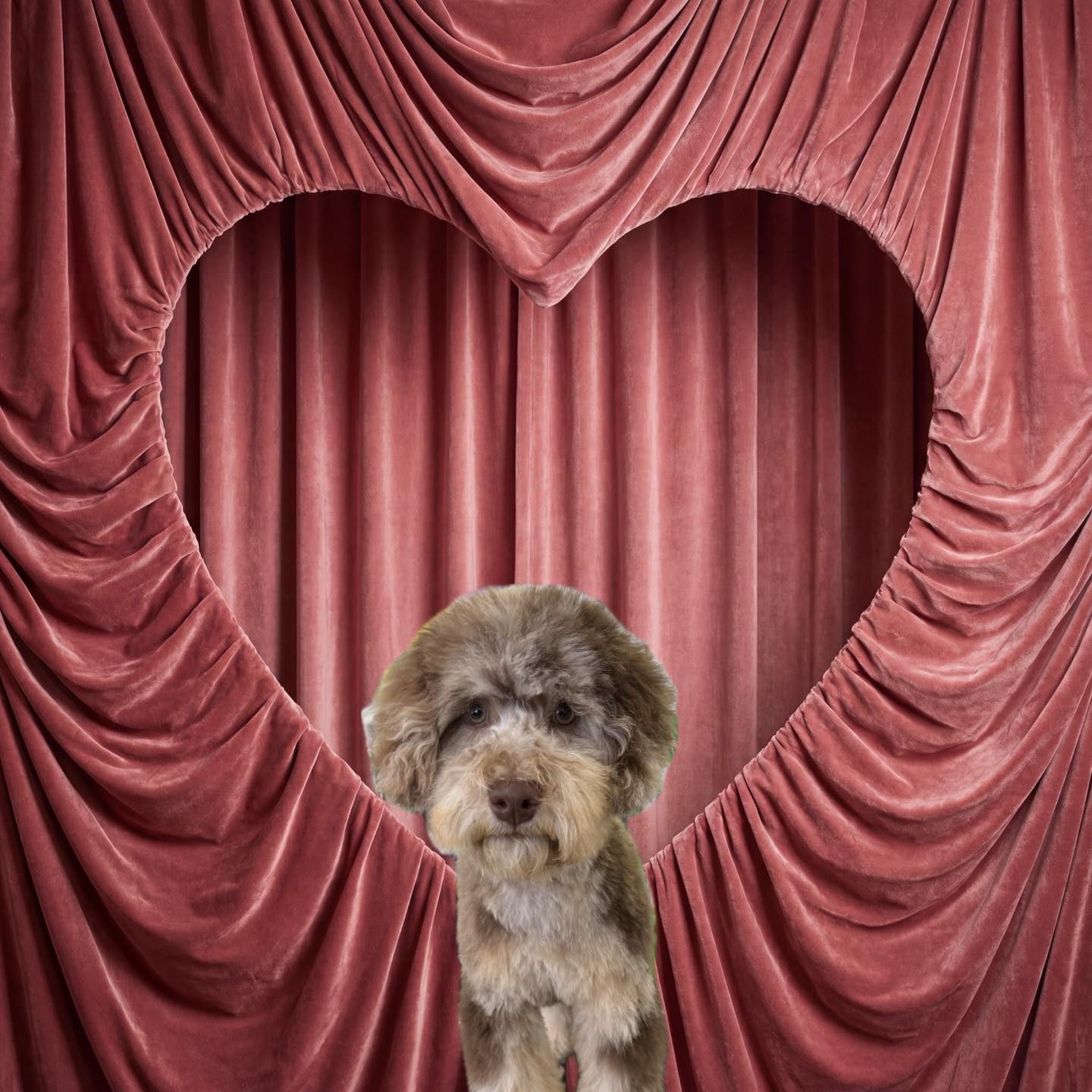 Northshore Grooming Slidell