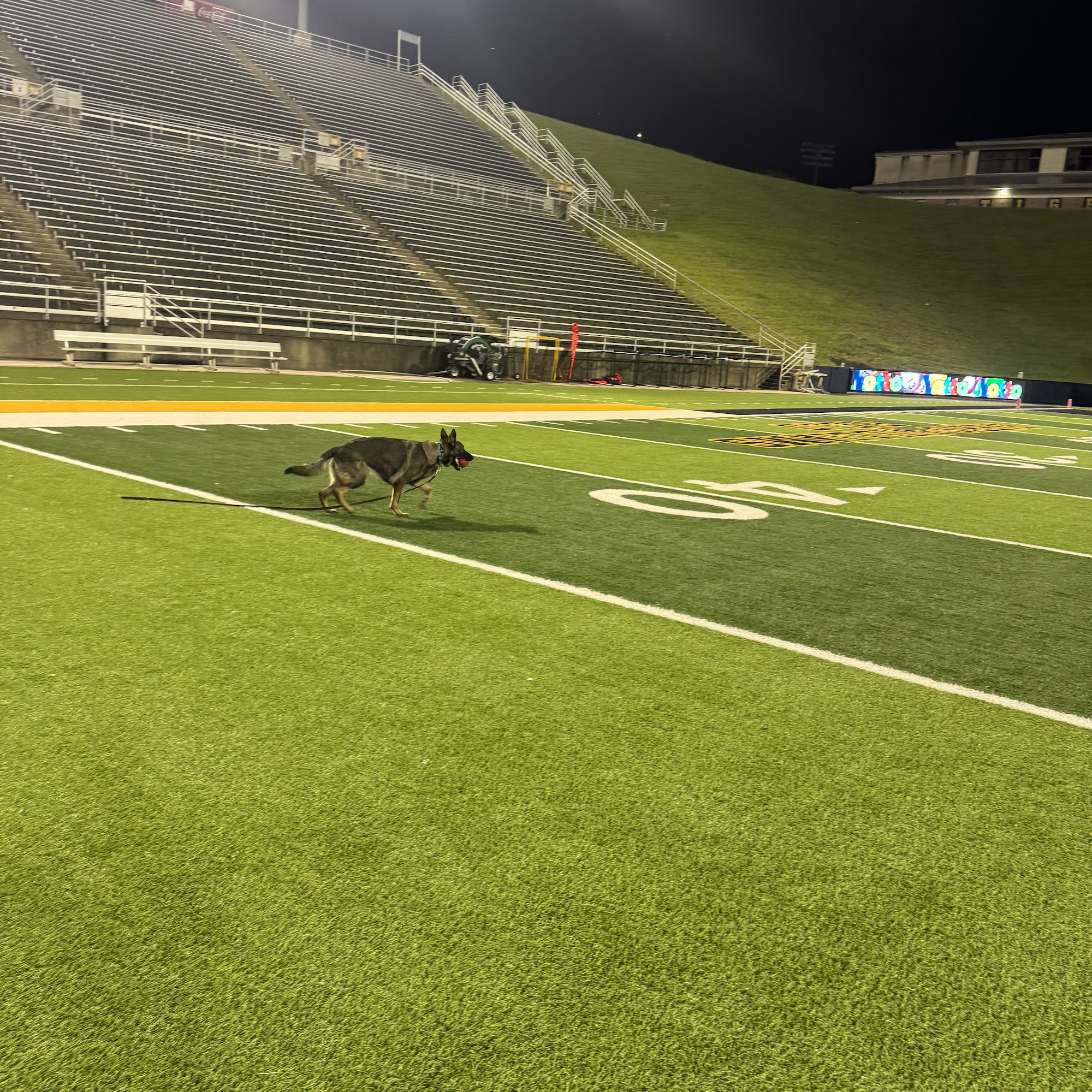 Northshore Canine Academy Slidell