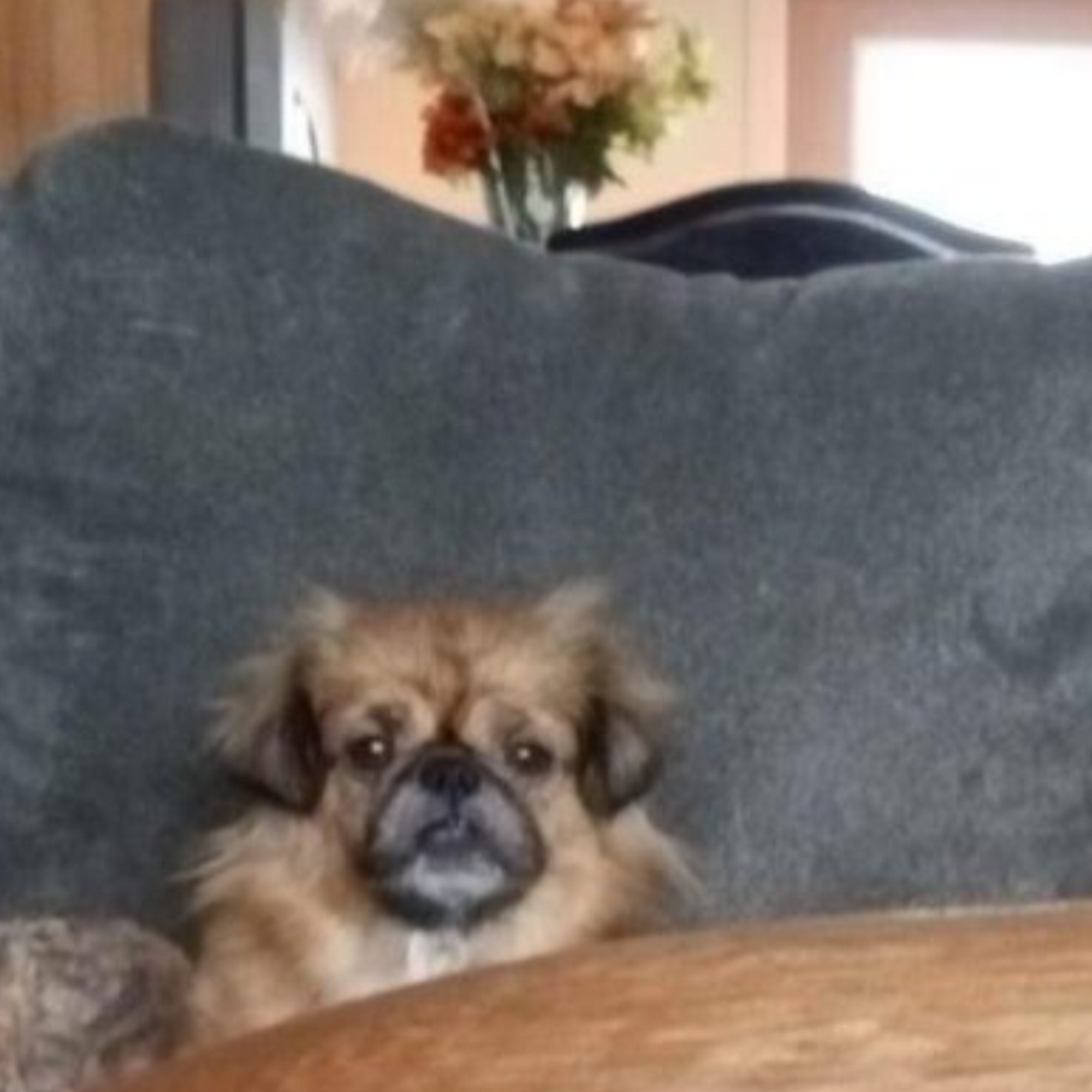 Acadian Veterinary Clinic: Rist Wayne DVM Slidell