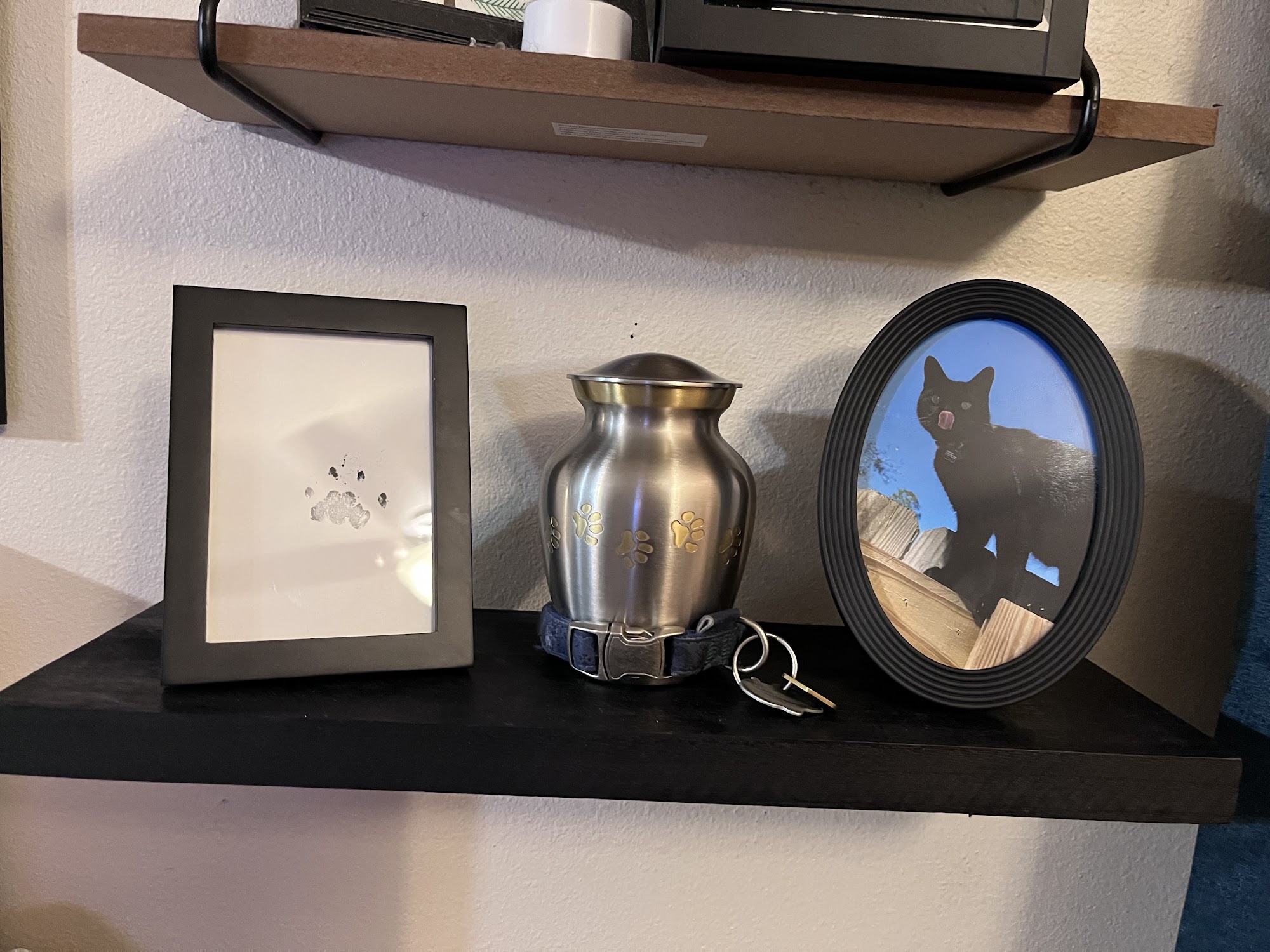 Unforgettable Pets Slidell