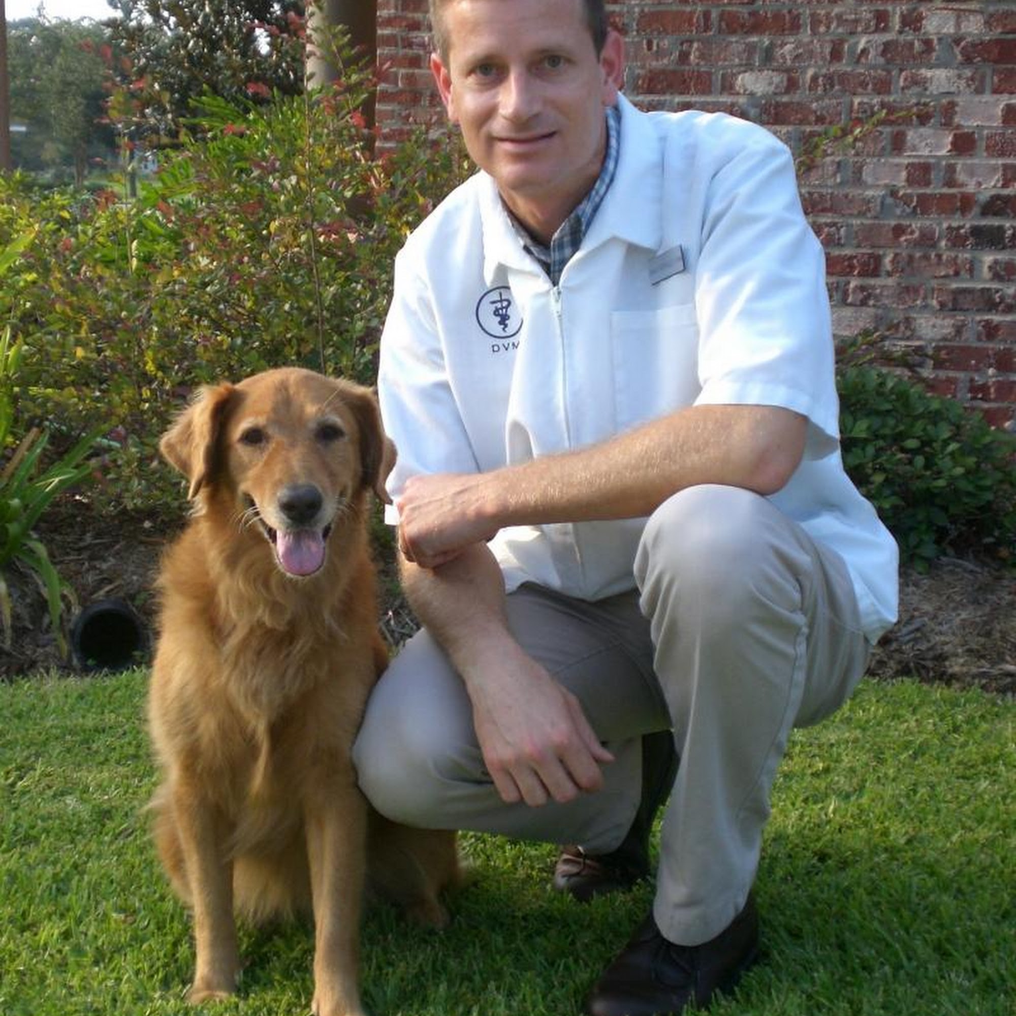 Sulphur Animal Clinic Sulphur