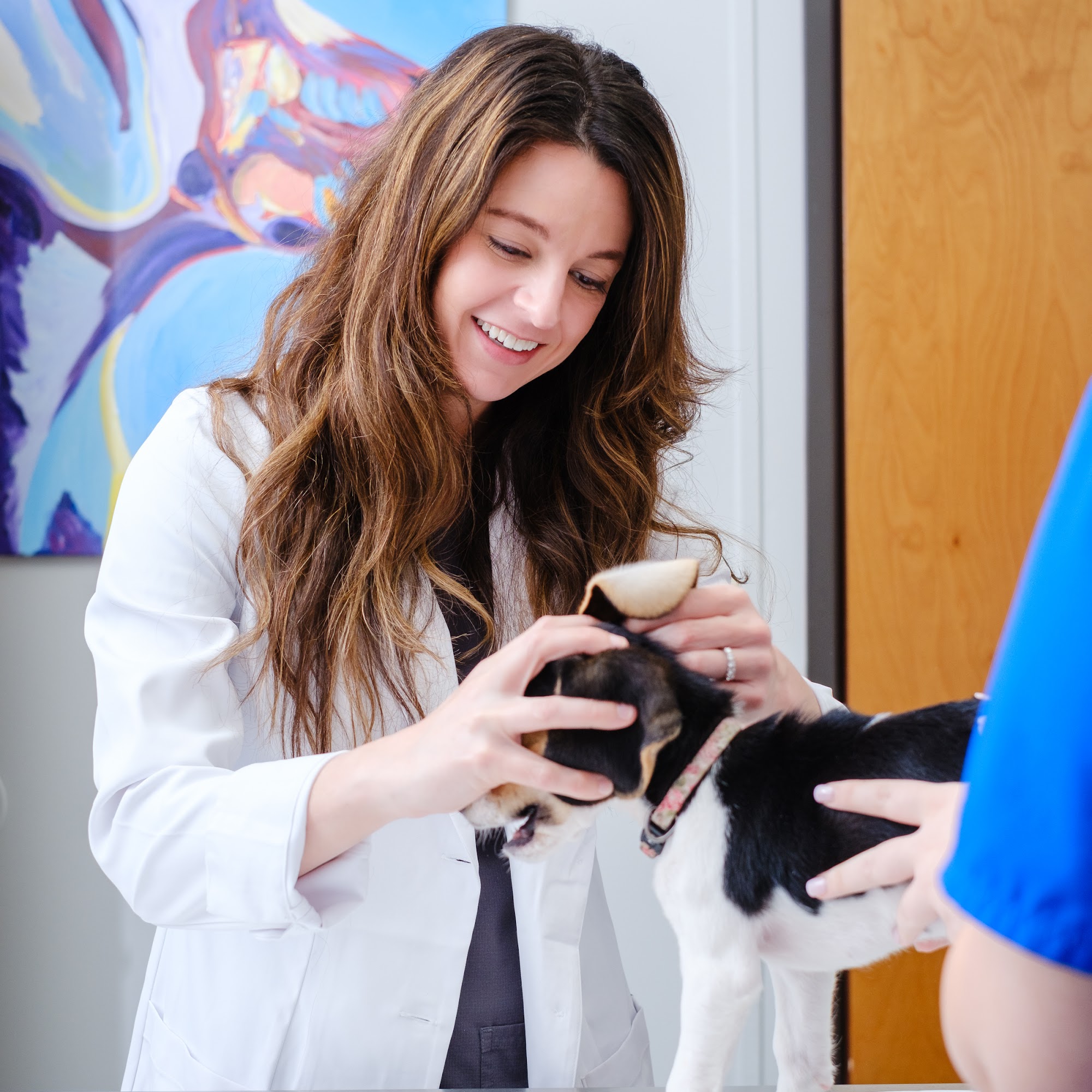 Maplewood Animal Hospital Sulphur