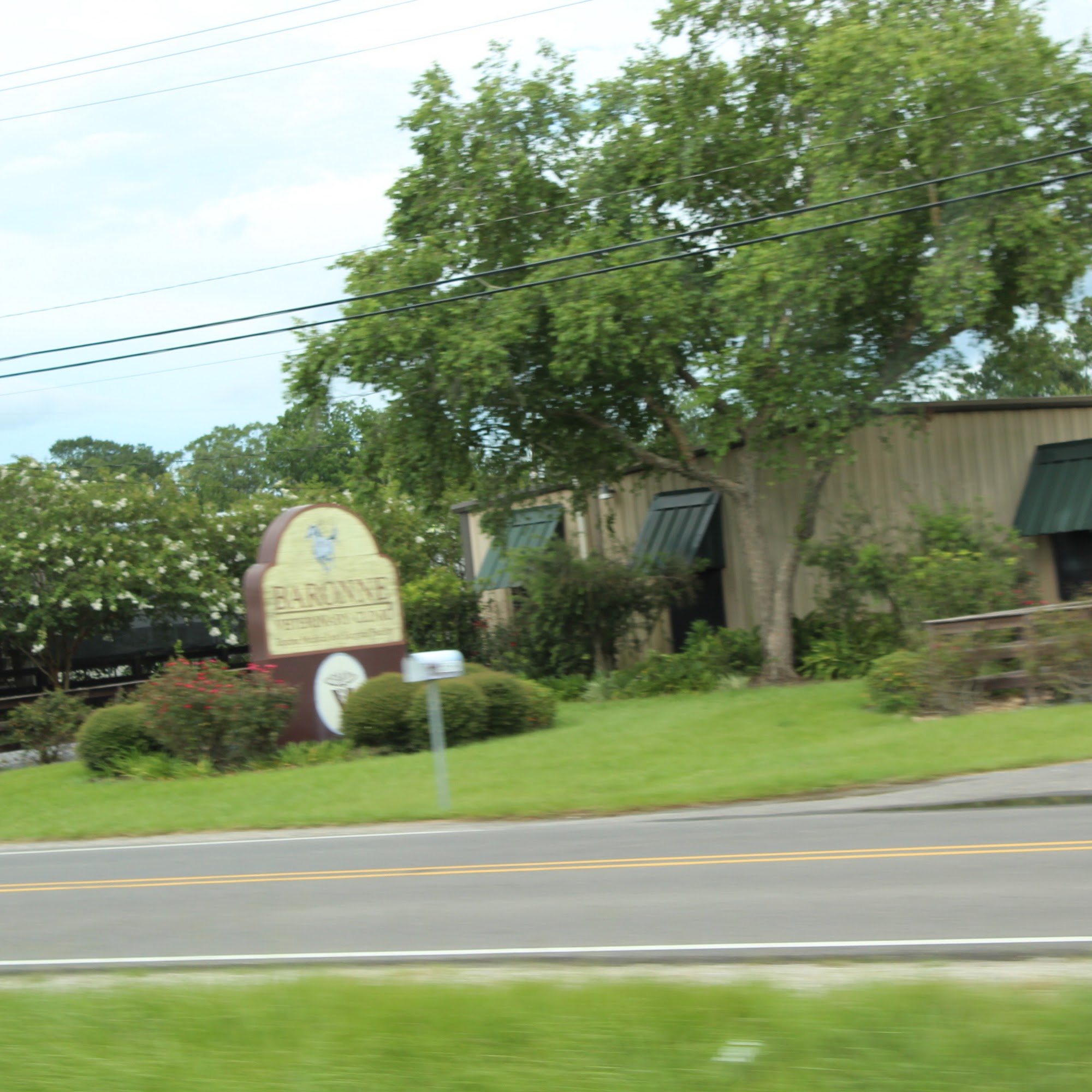 Baronne Veterinary Clinic Sunset