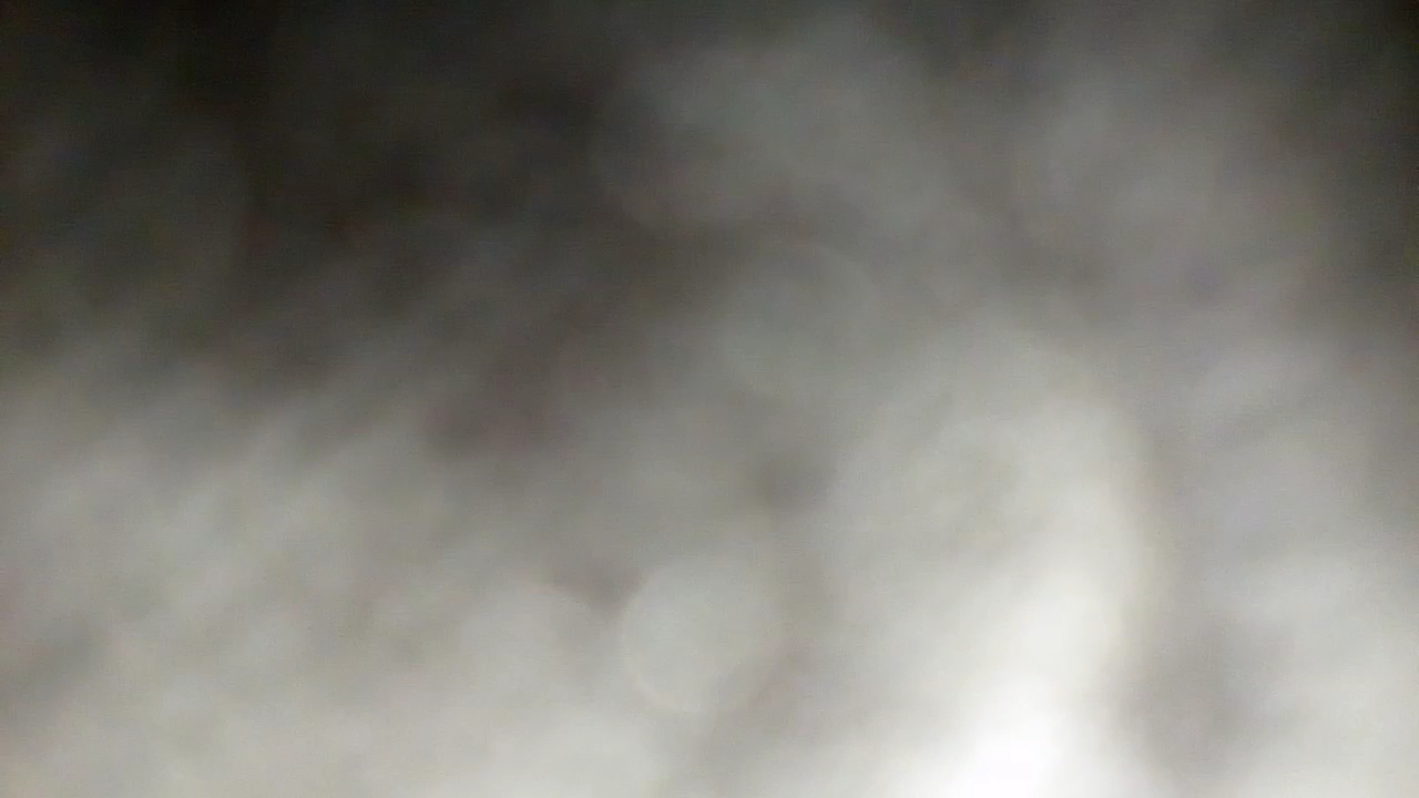 Go-Bears Southern Eatery Menu