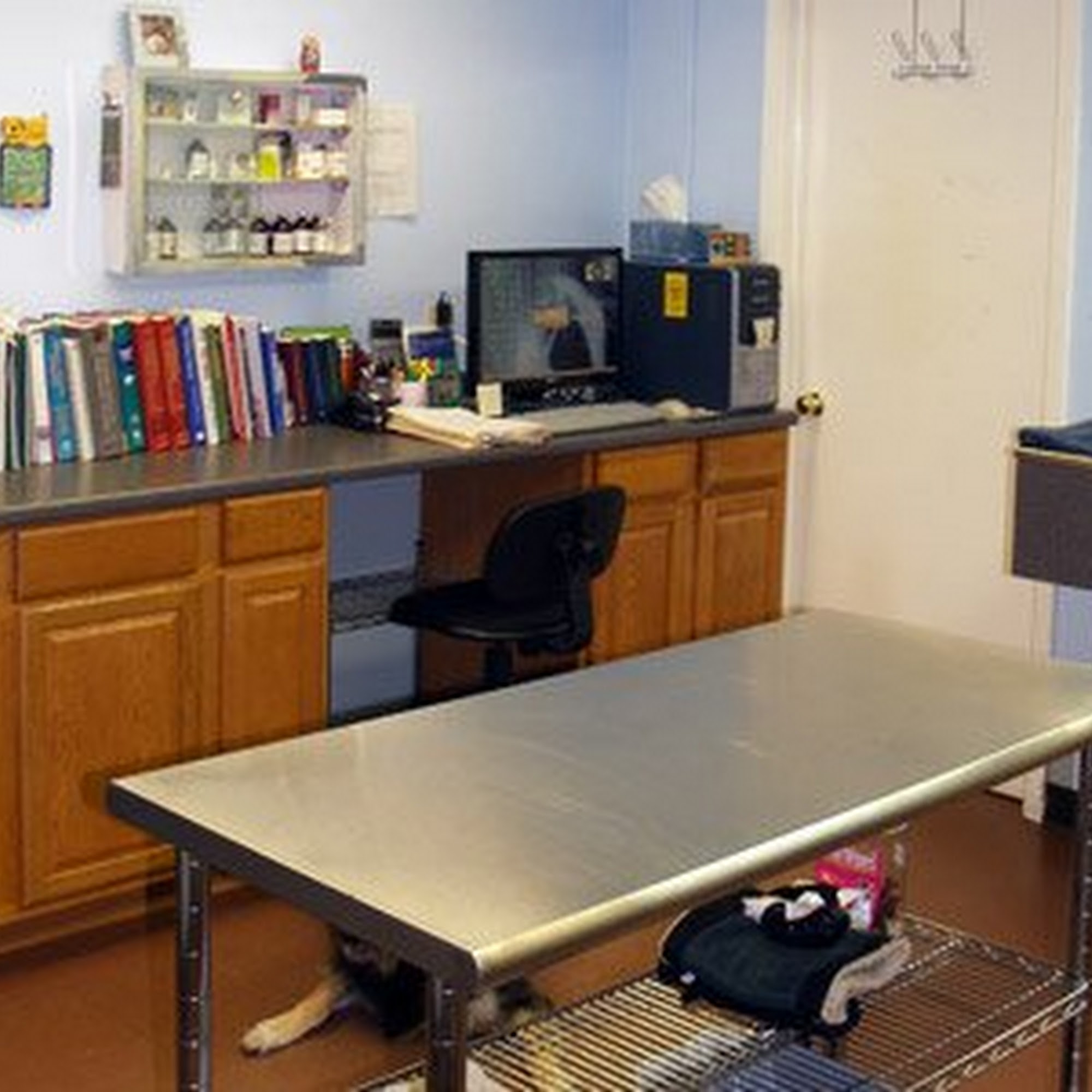 Aurora Companion Animal Hospital Terrytown