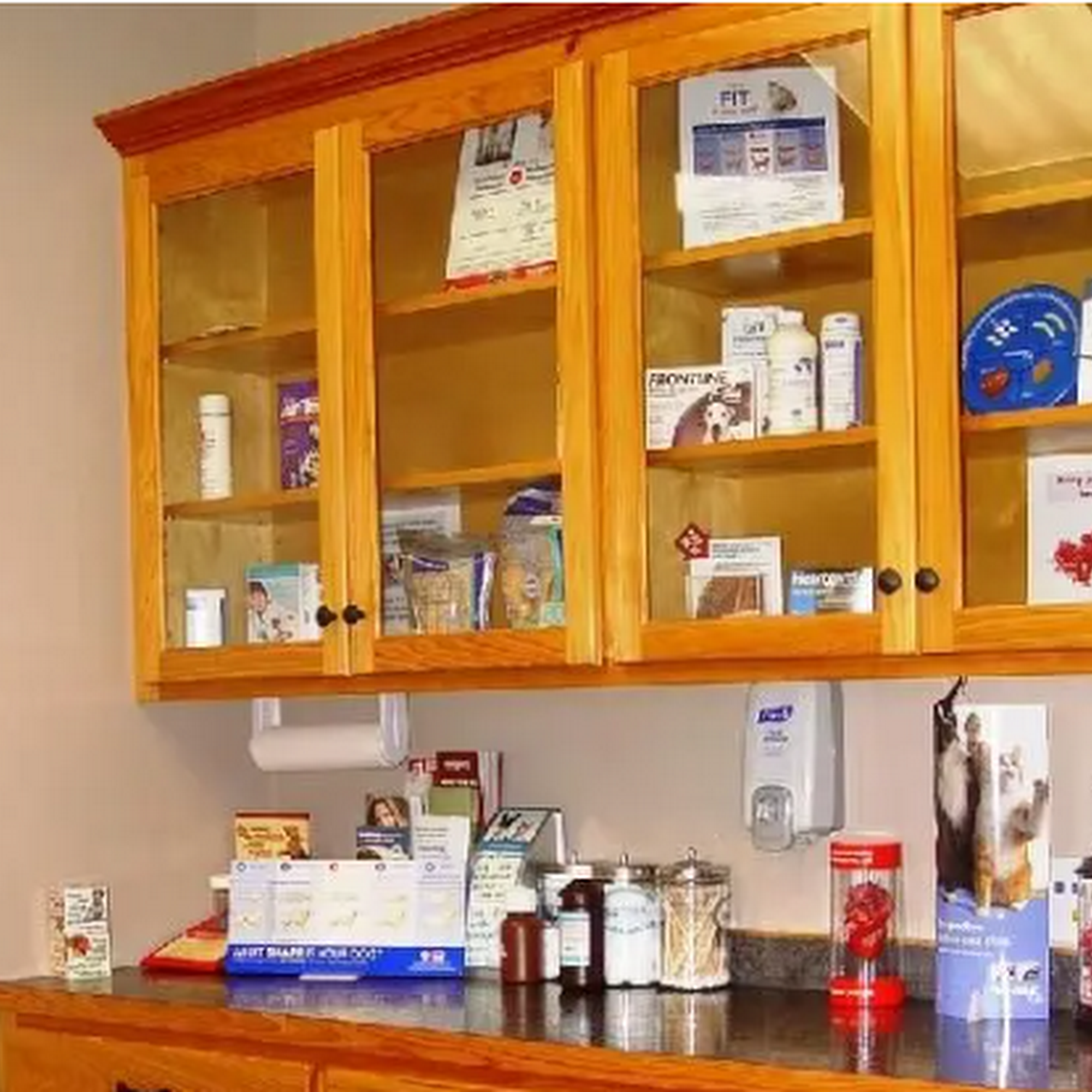 Acadian Animal Hospital Thibodaux