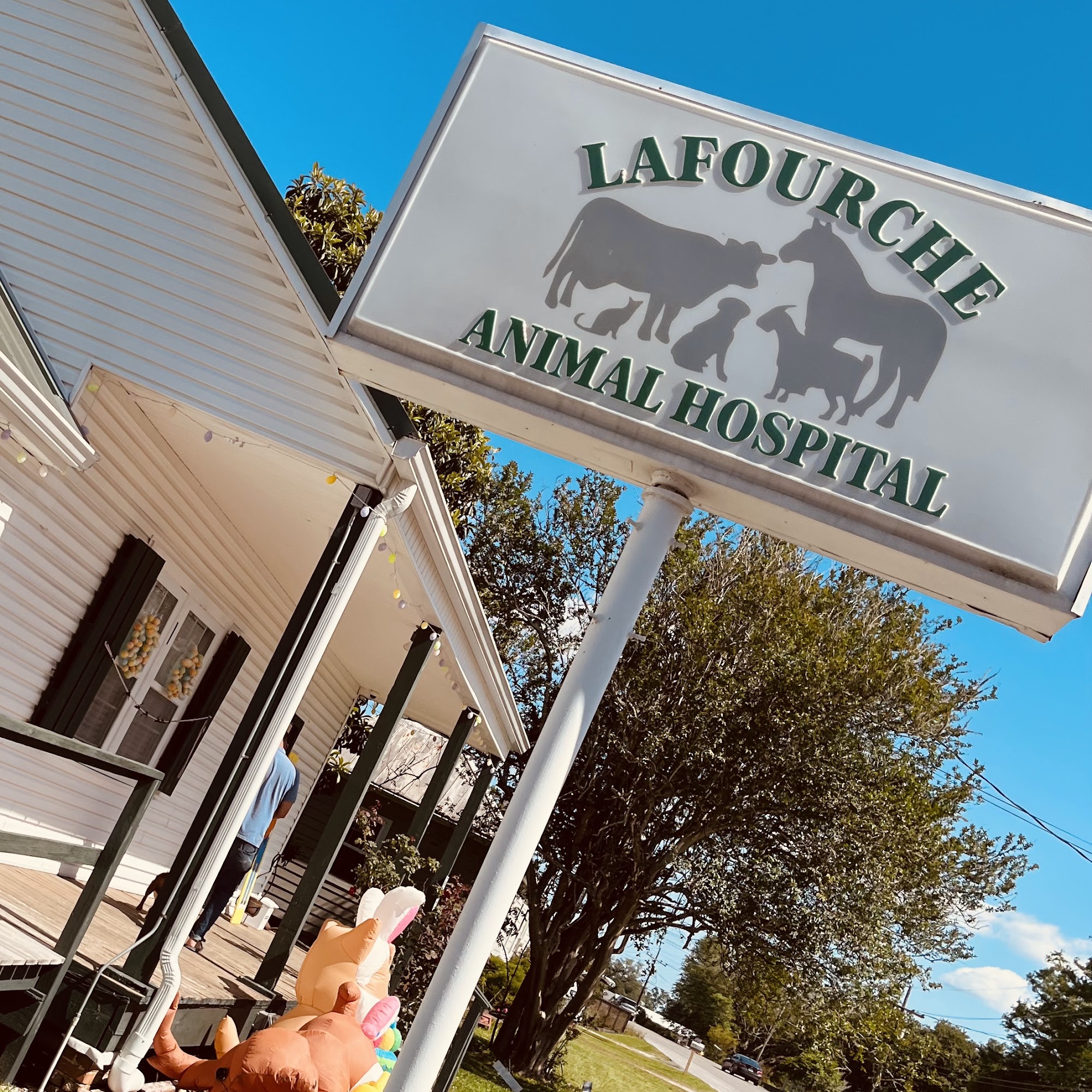 LaFourche Animal Hospital Thibodaux