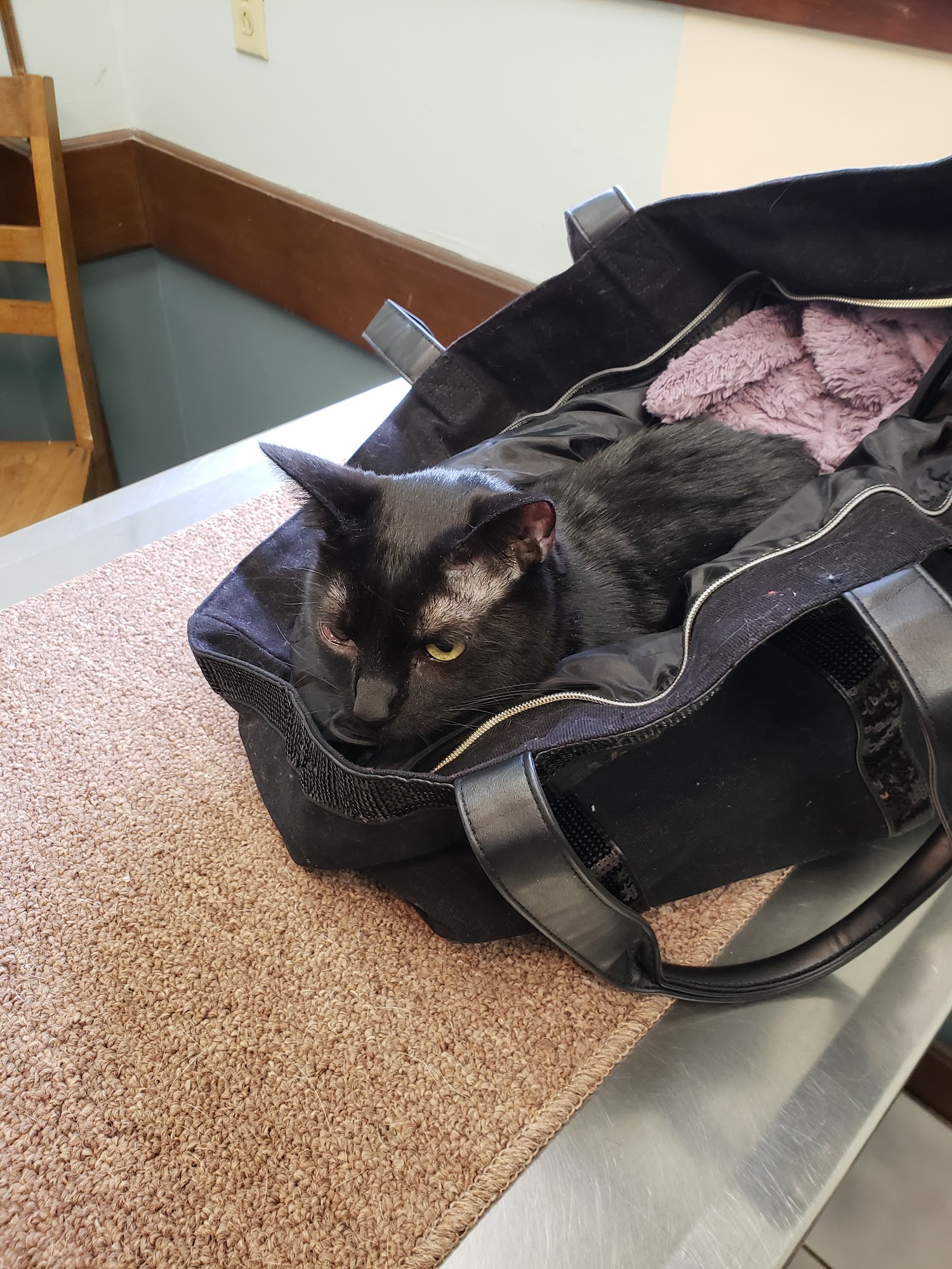 Miss-Lou Veterinary Clinic Vidalia