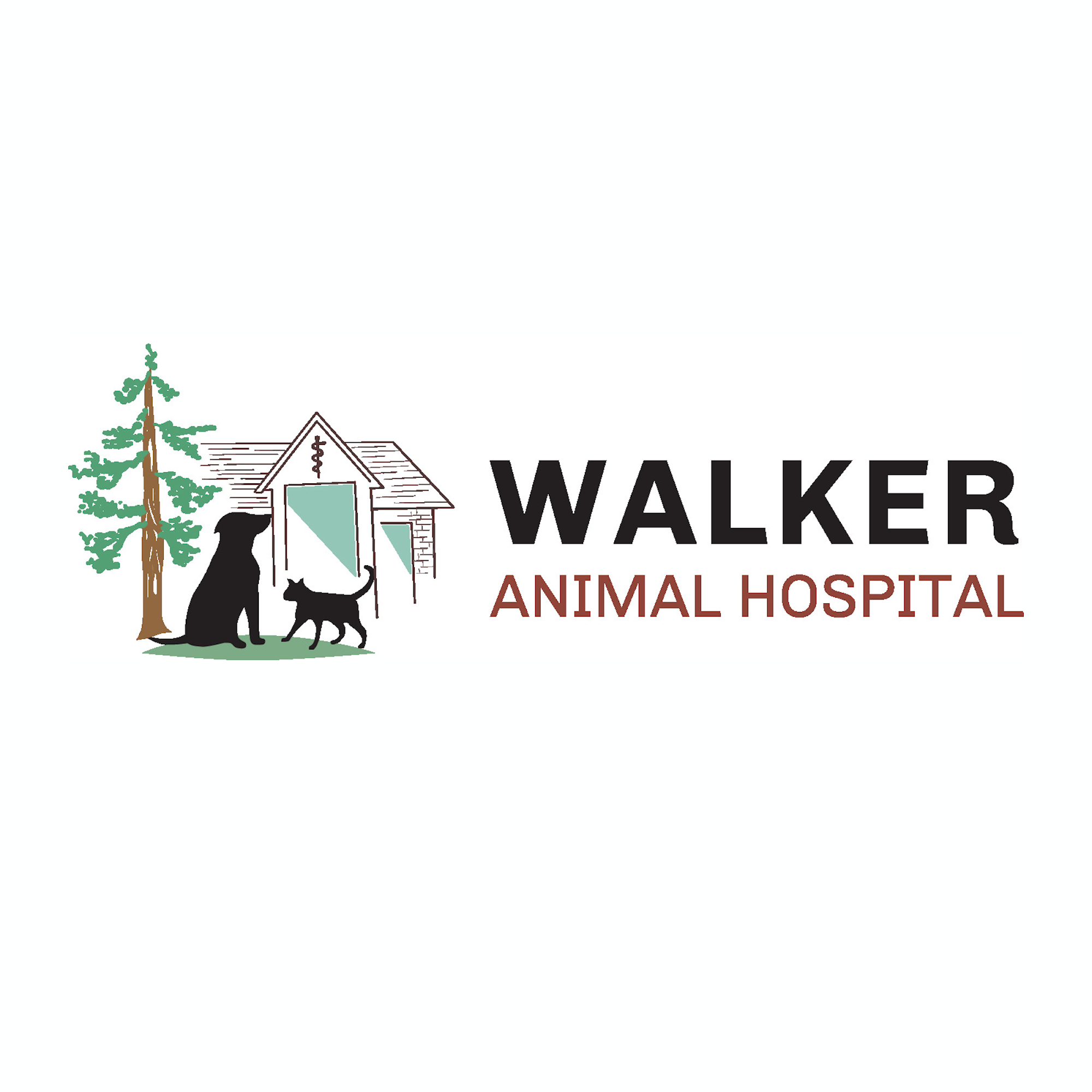 Walker Animal Hospital Walker
