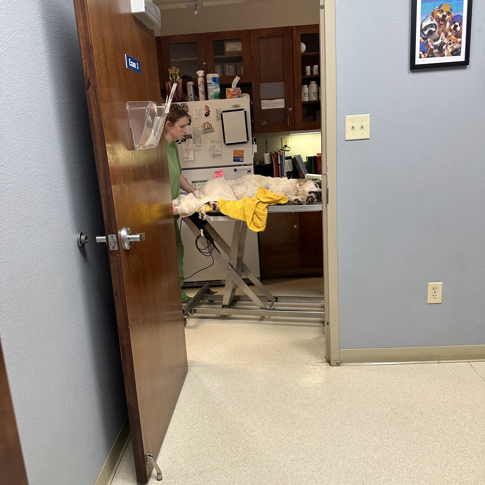 Animal Hospital of West Monroe West Monroe