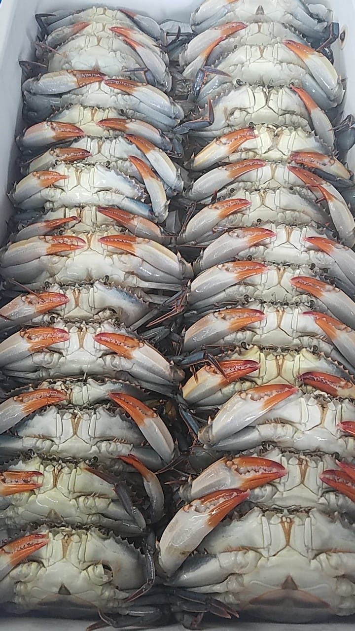 April's Seafood Menu