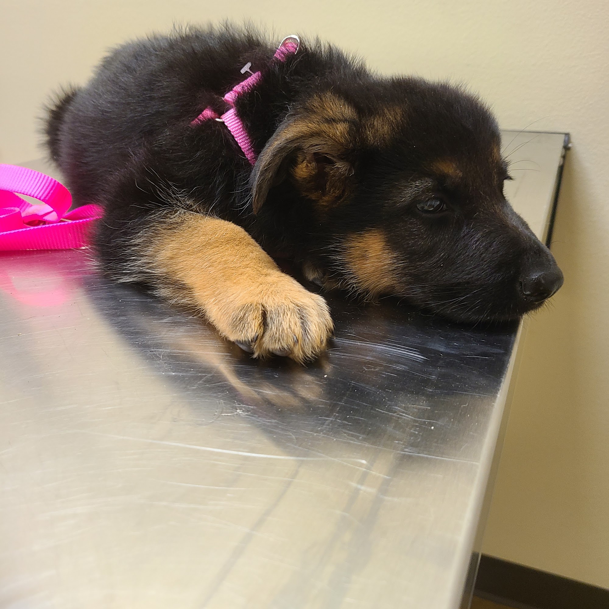 Talley Veterinary Services Group Winnsboro