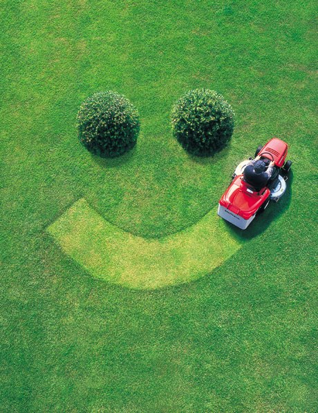 Nature Scapes LLC