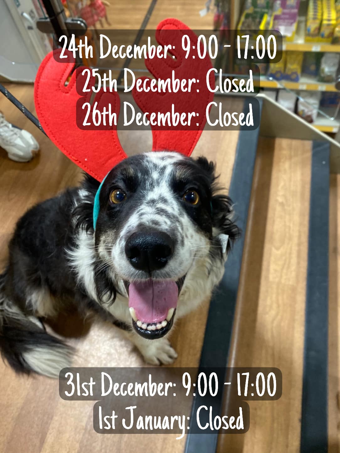 Pets at Home Accrington