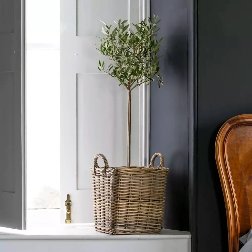 Willows & Co