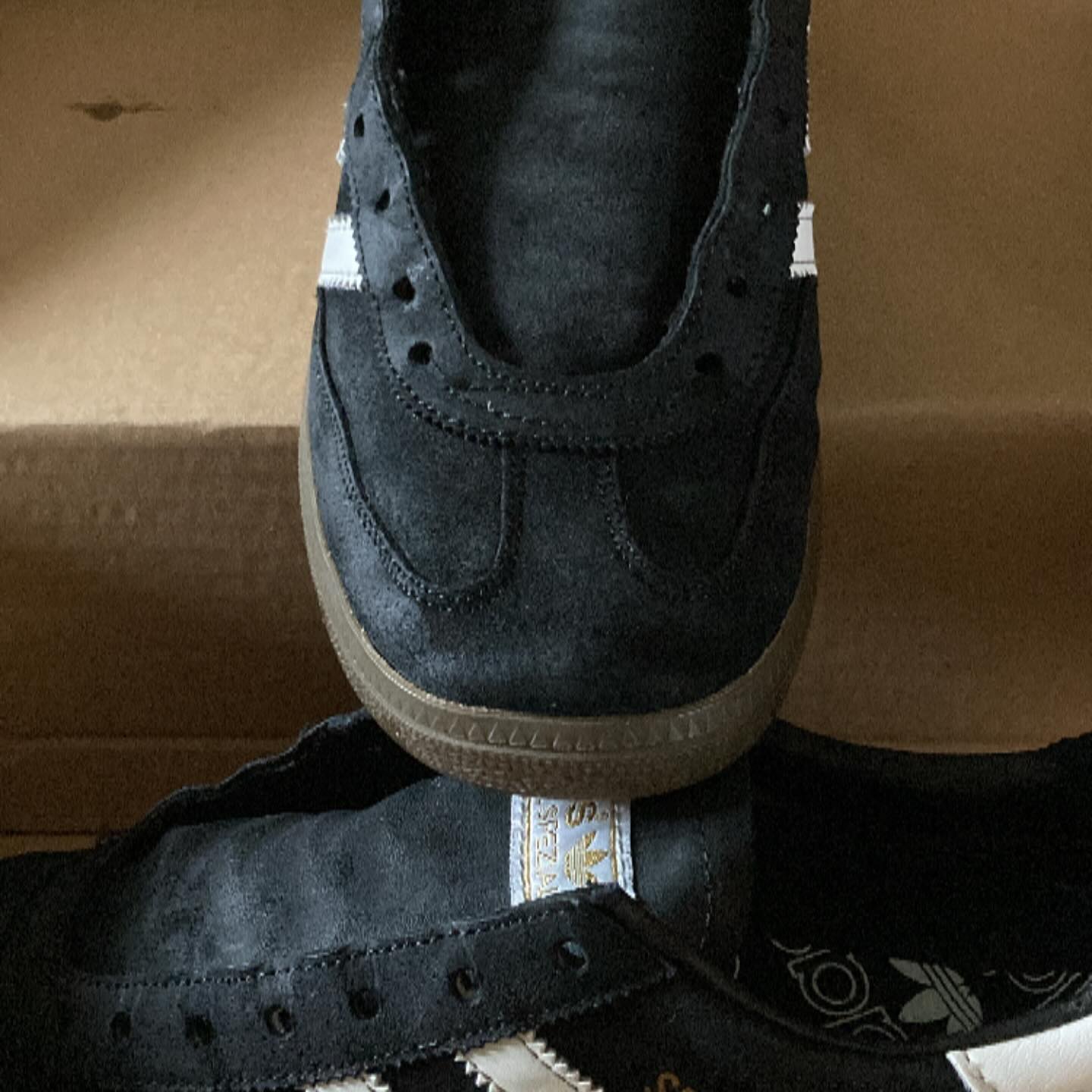Trainer Restoration