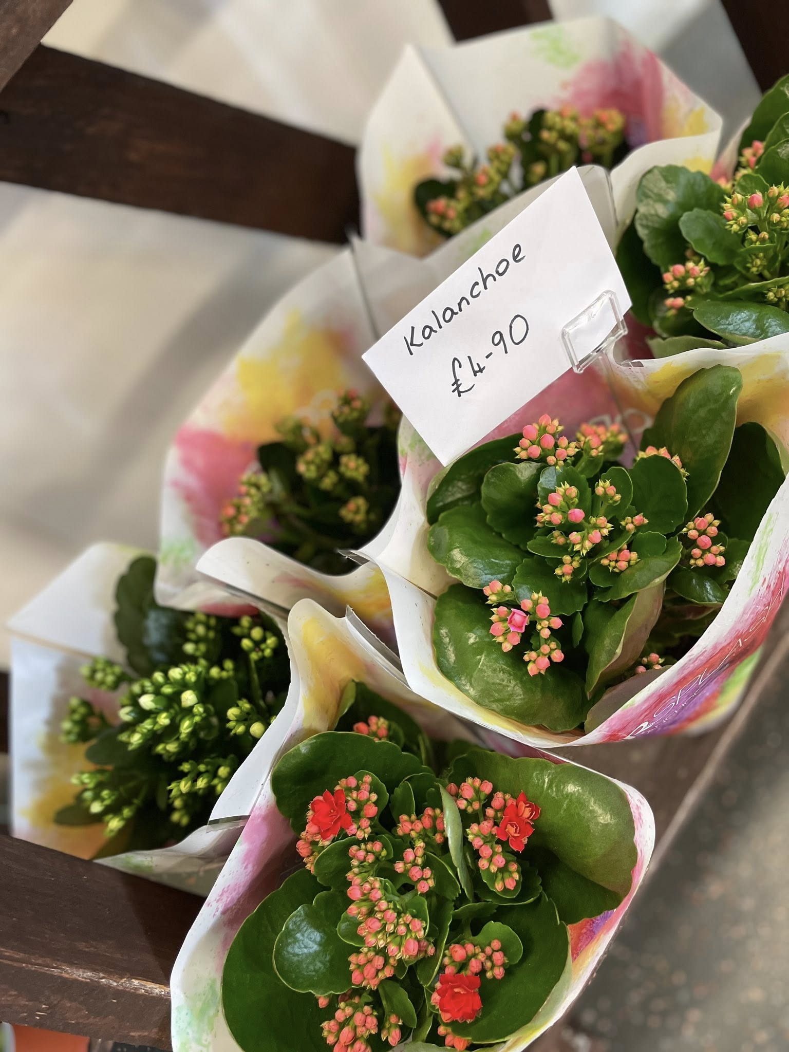 Patricias Floral Fair