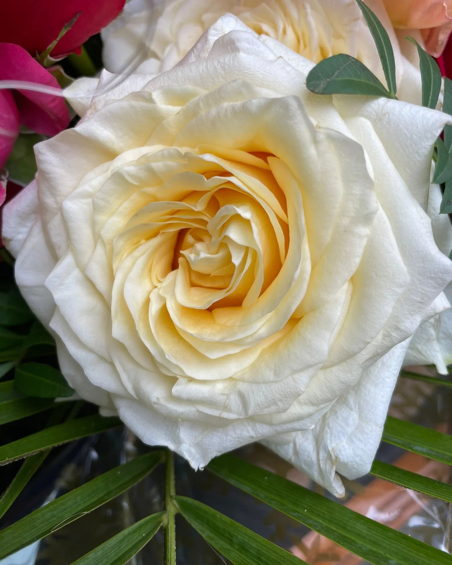 Draycott's Florist
