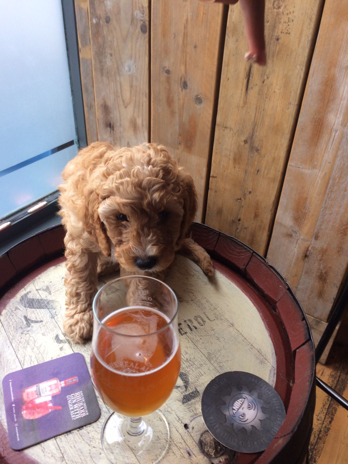 The Real Ale Classroom