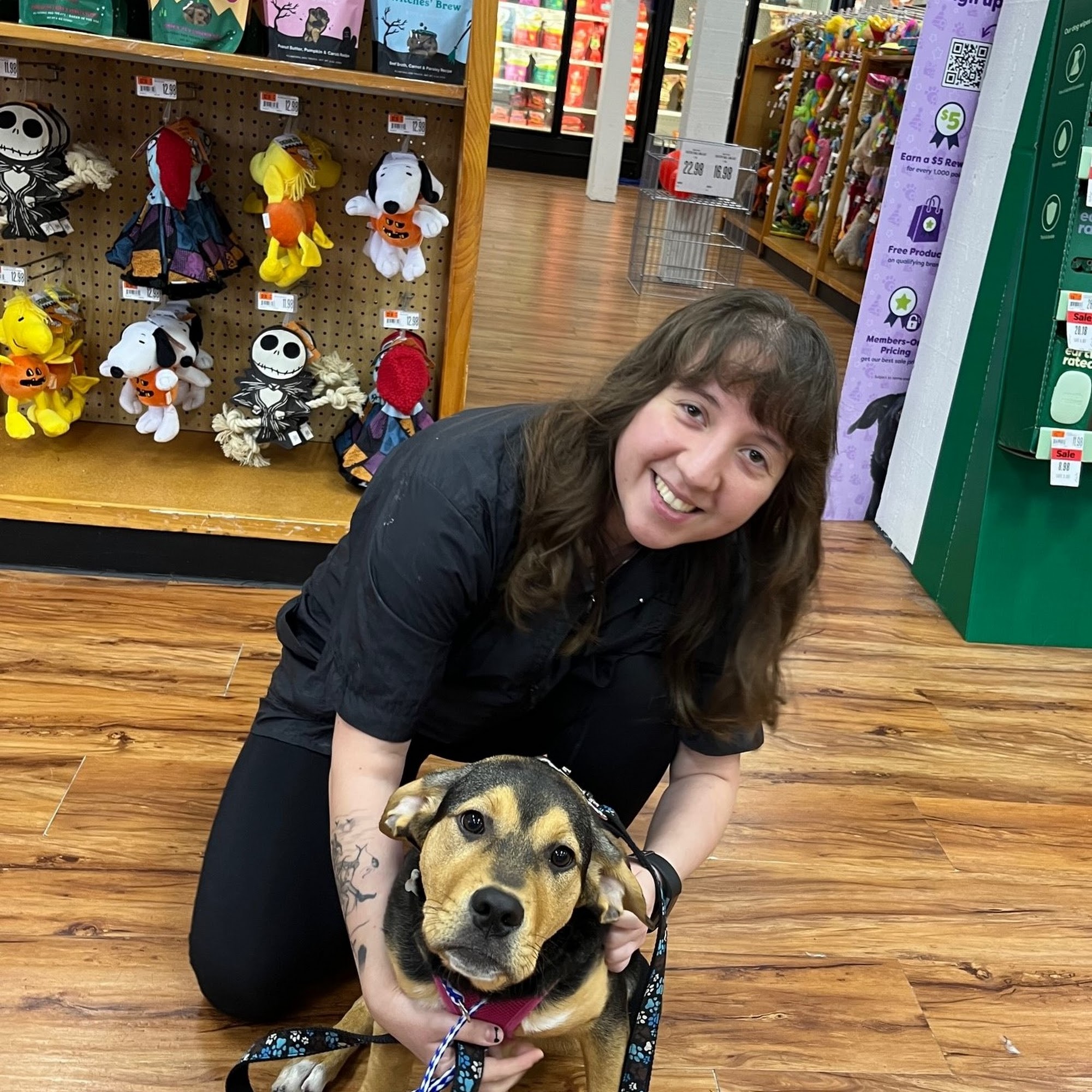 Wag N' Wash Natural Pet Food & Grooming