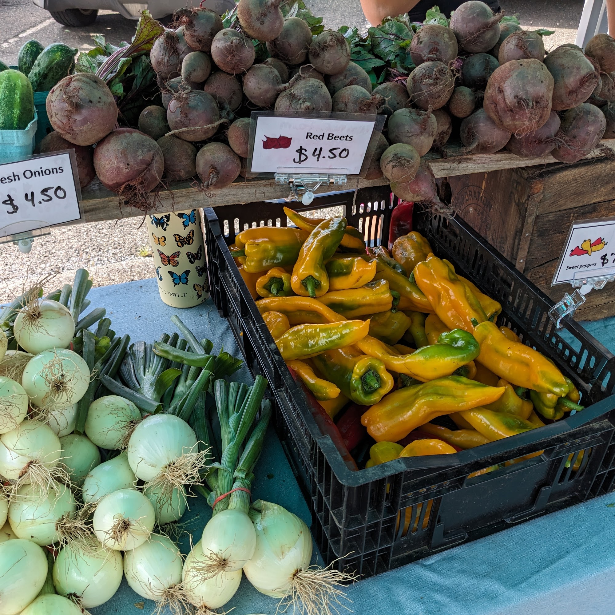 Full Well Farm Adams