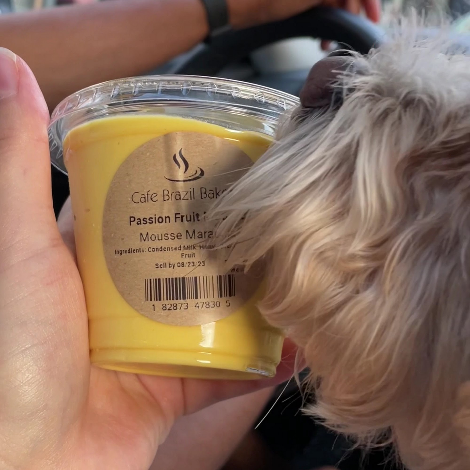 Cafe Brazil Bakery Allston