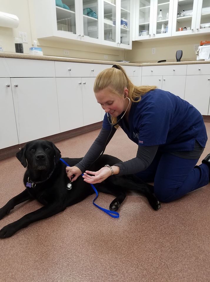 Merrimac Valley Animal Hospital Amesbury