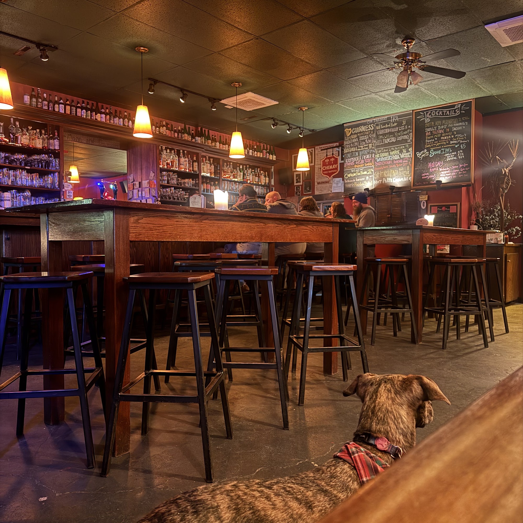 The Moan & Dove Amherst