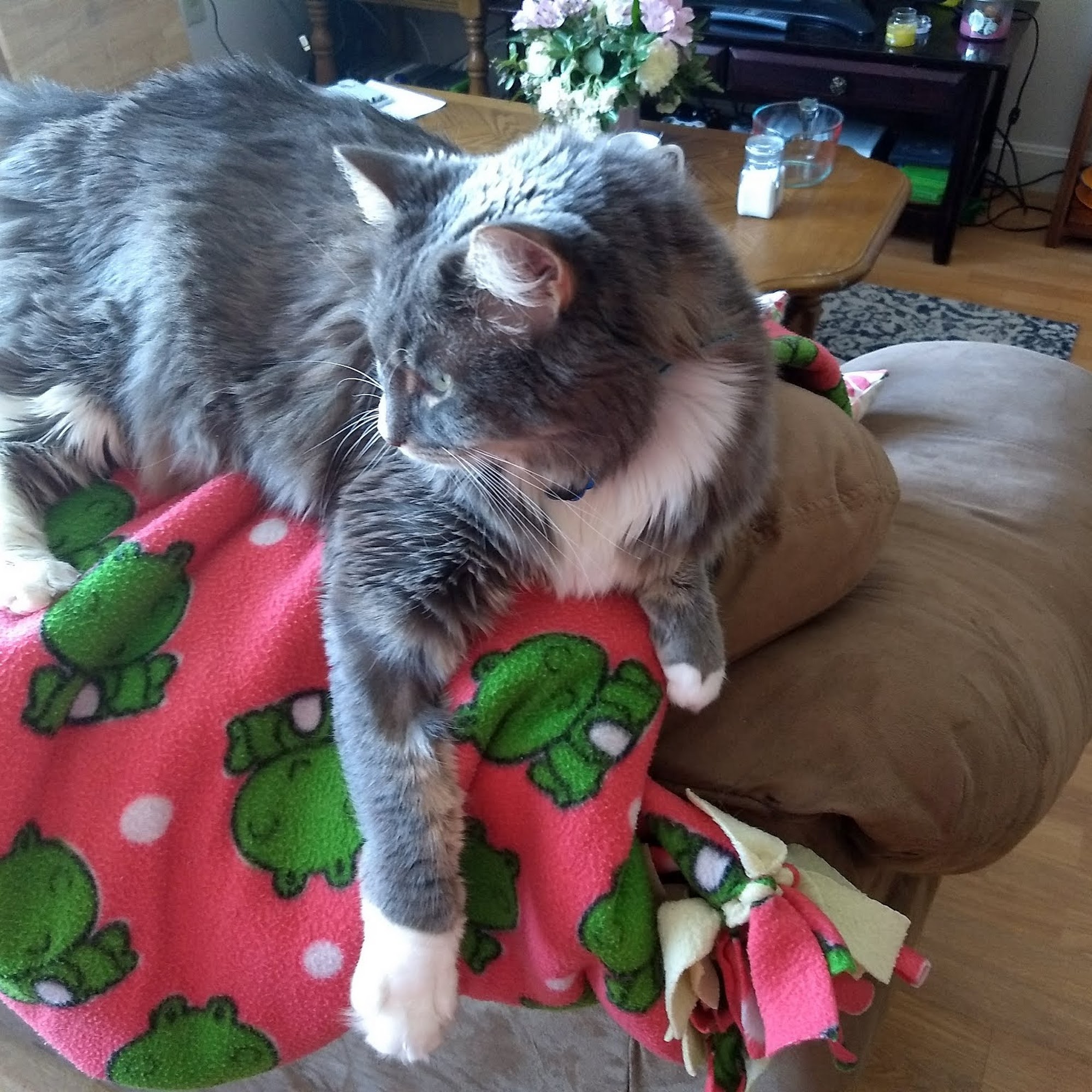 Hampshire Veterinary Hospital Amherst