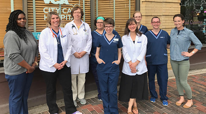 VCA City Cats Hospital Arlington