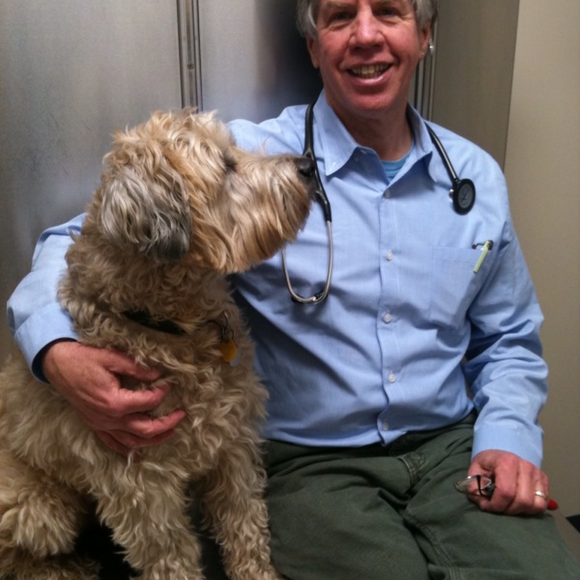 Mill Brook Animal Clinic Arlington