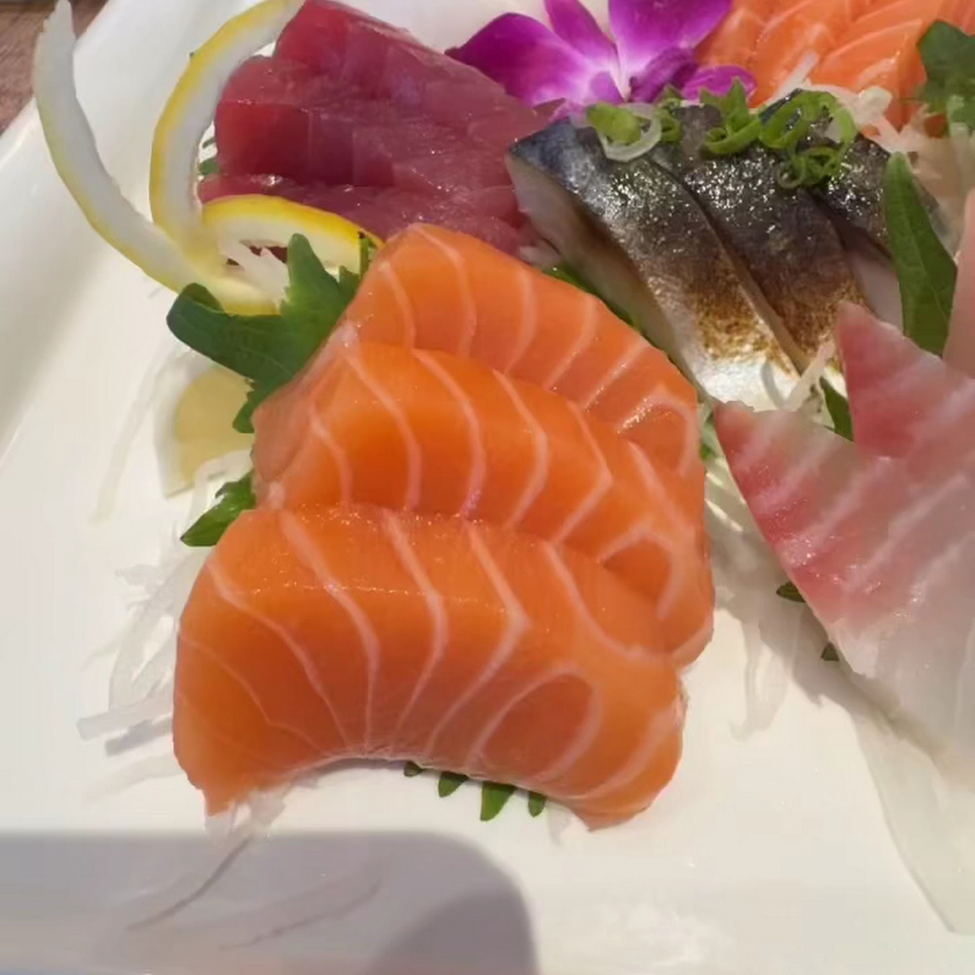 Umi Sushi Arlington