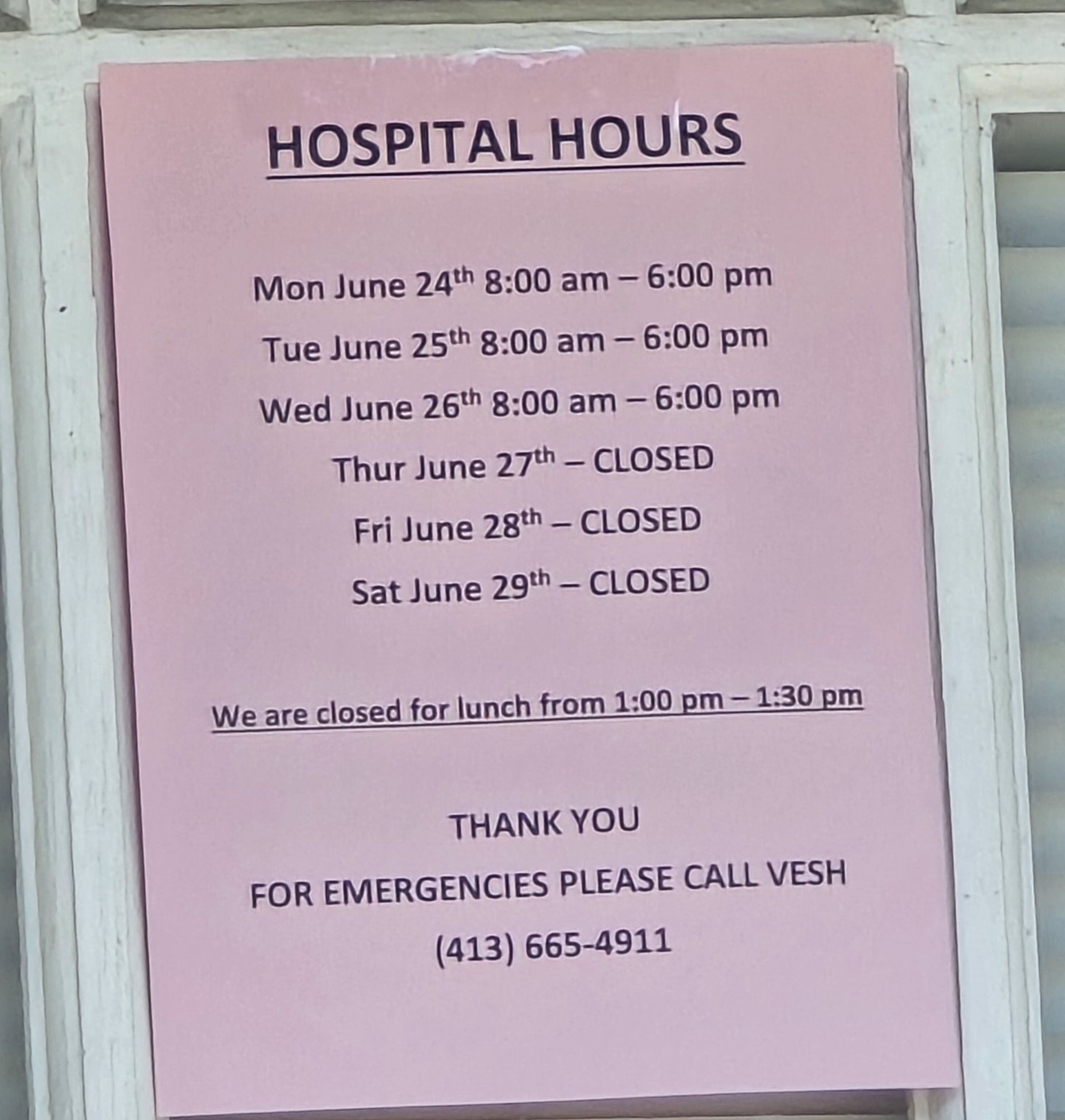 Adams Animal Hospital: Bergantino Robert DVM Athol