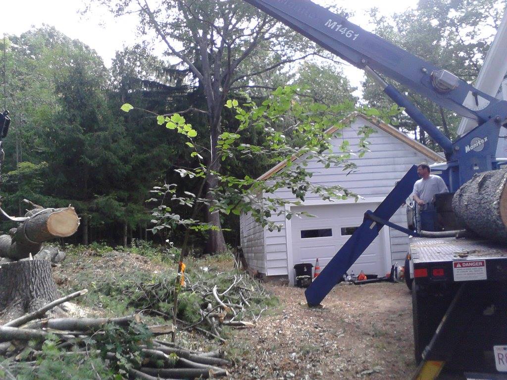 Castle Tree Services Athol