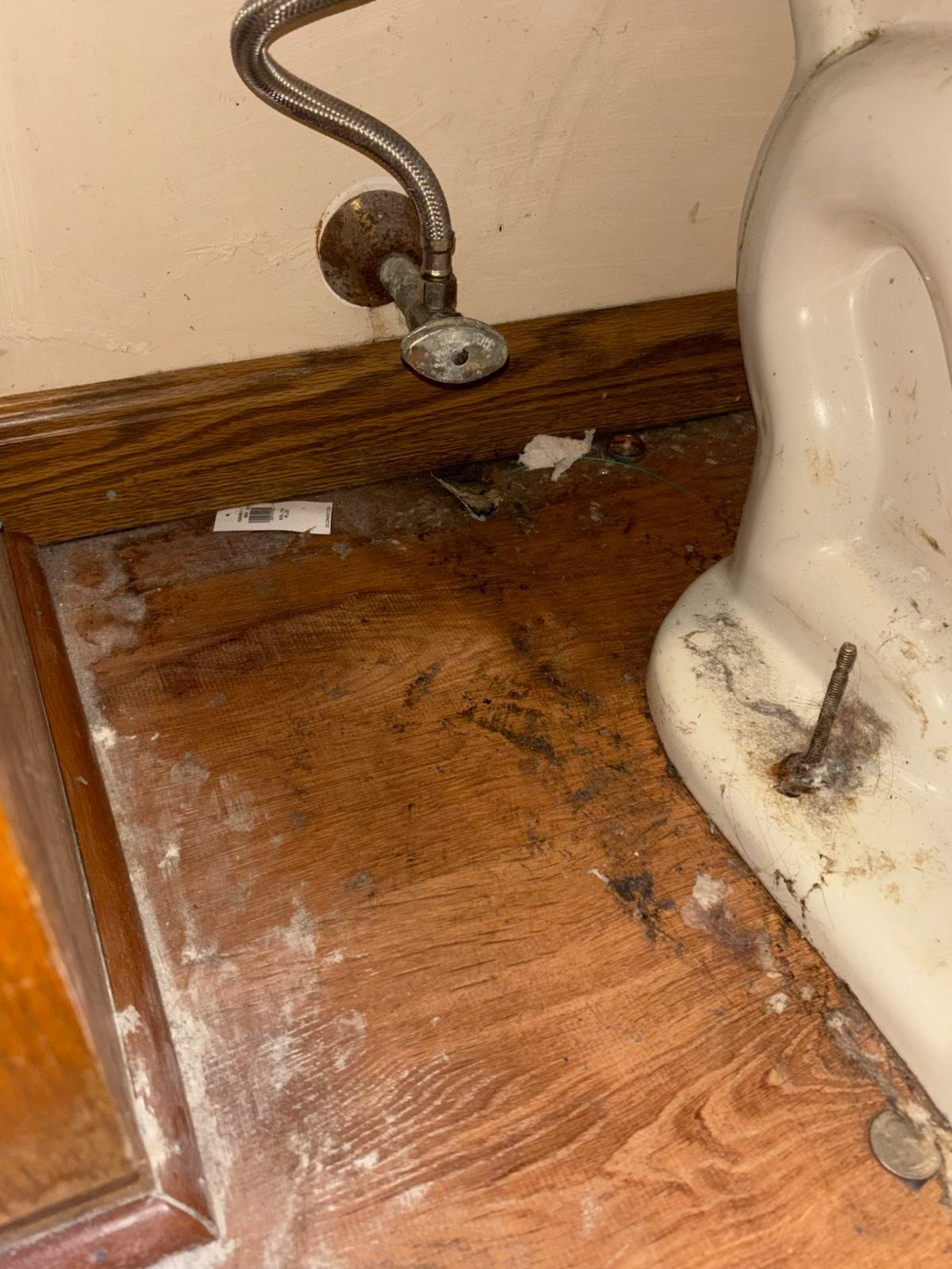 South Coast Cleanouts