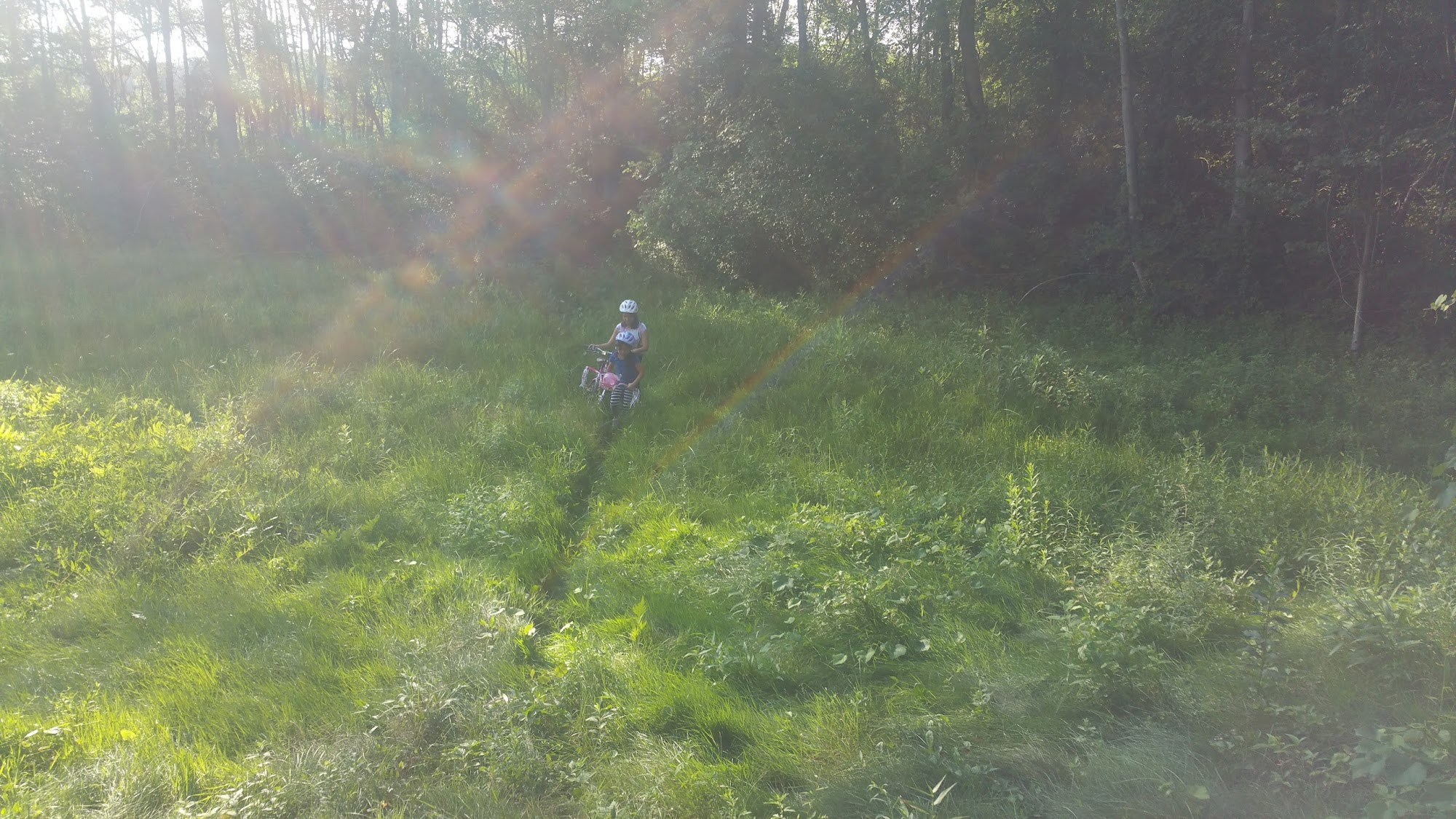 Friends Of the Attleboro Animal Shelter Attleboro