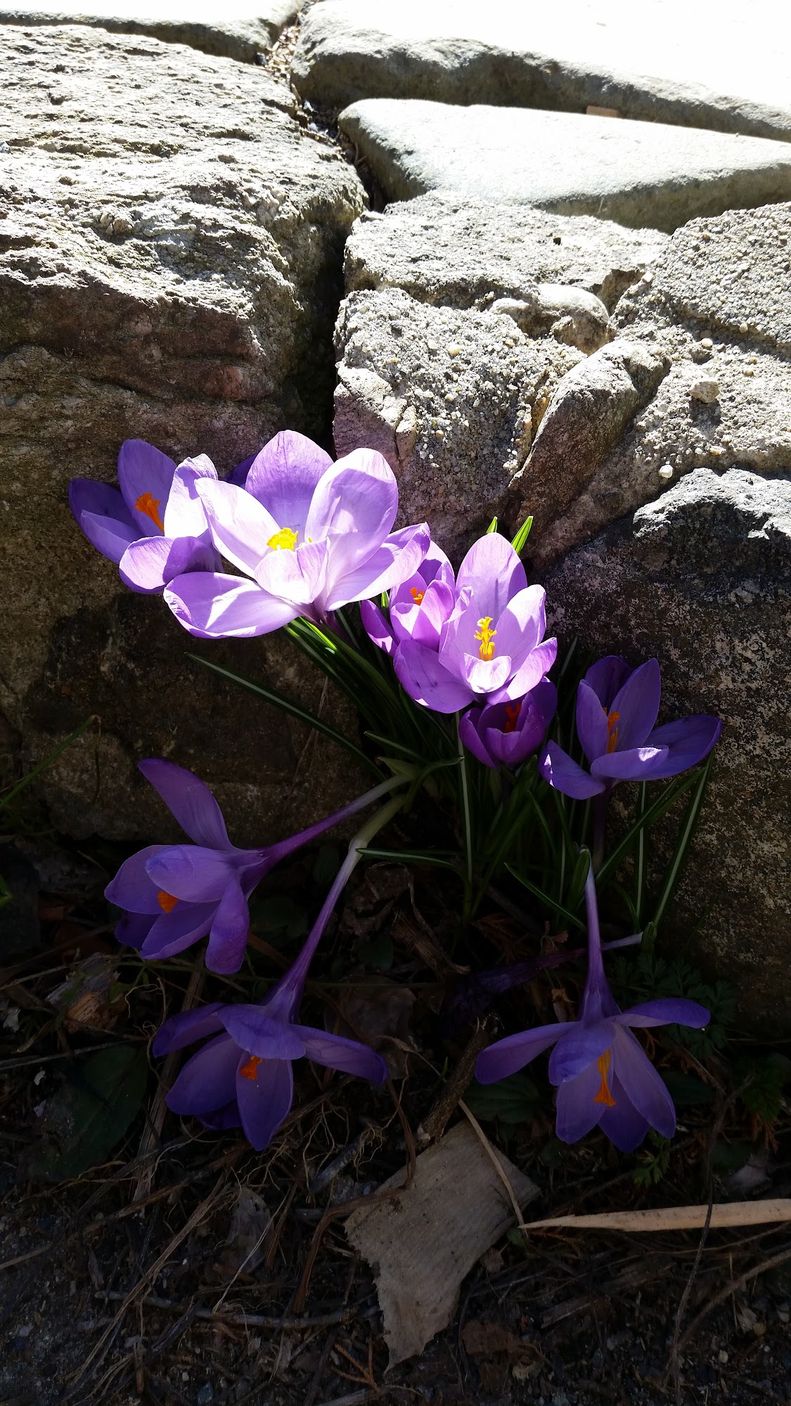 Cape Wildlife Center Barnstable