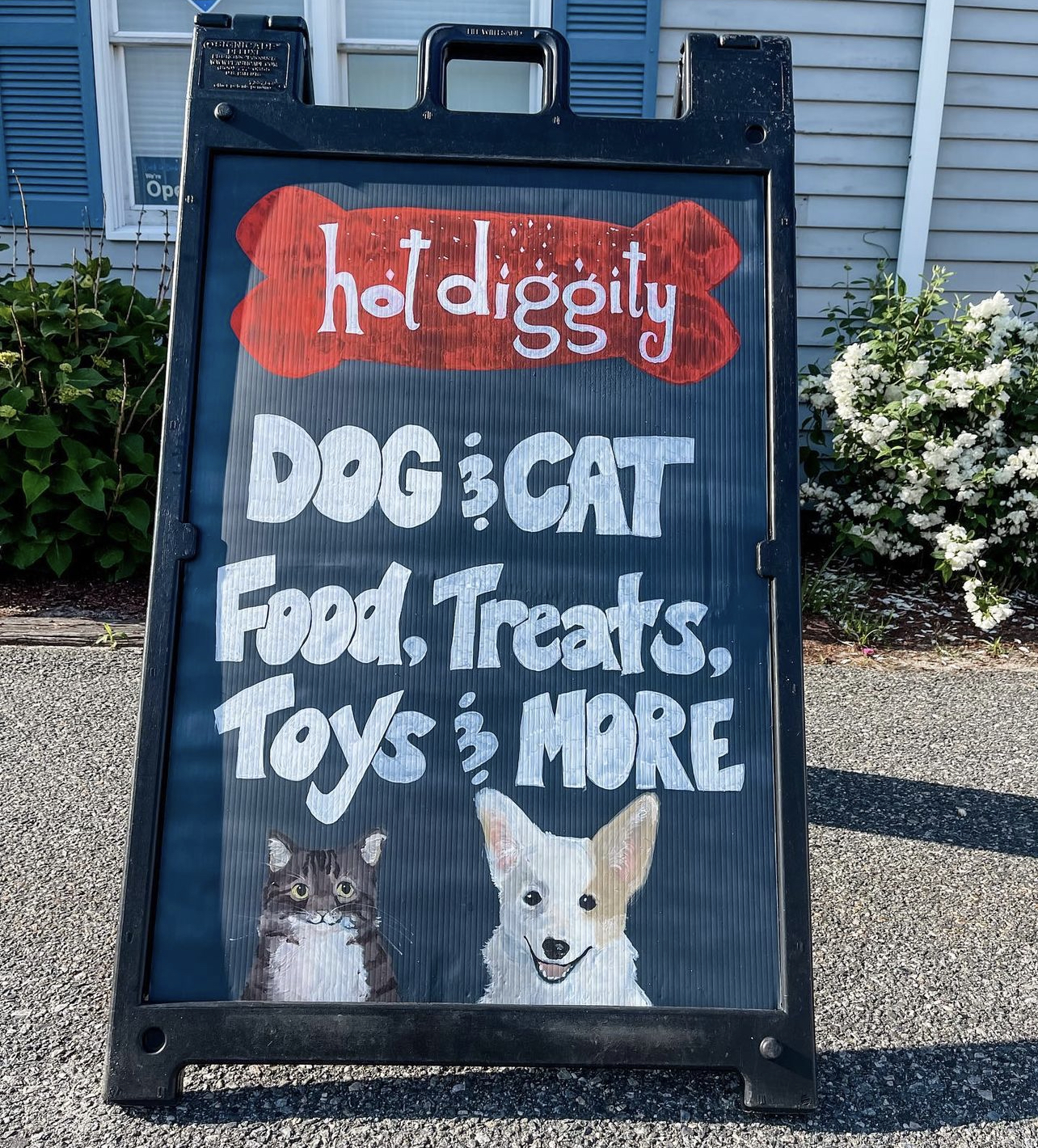 Hot Diggity Pet Grocery & Boutique Barnstable