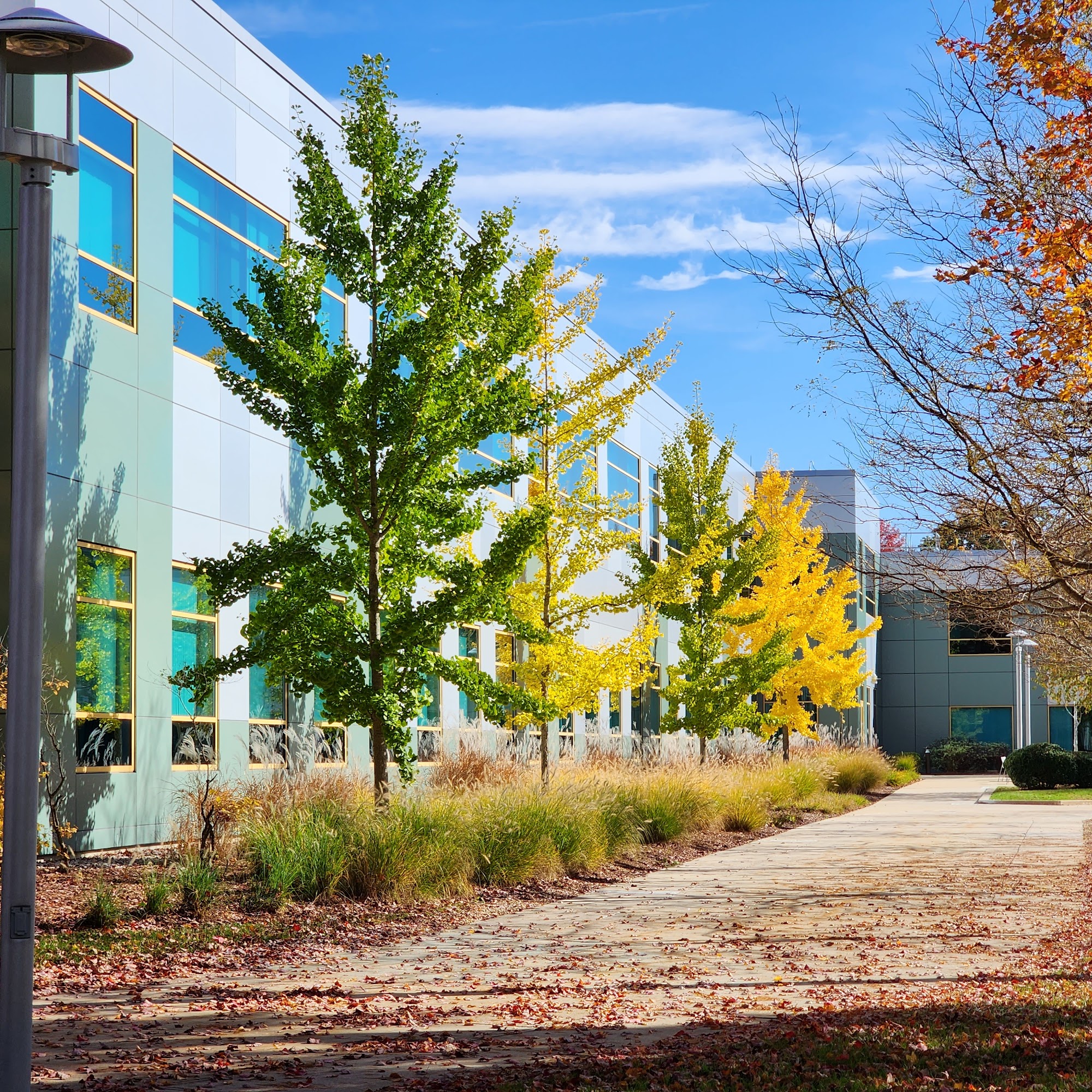 MilliporeSigma Bedford