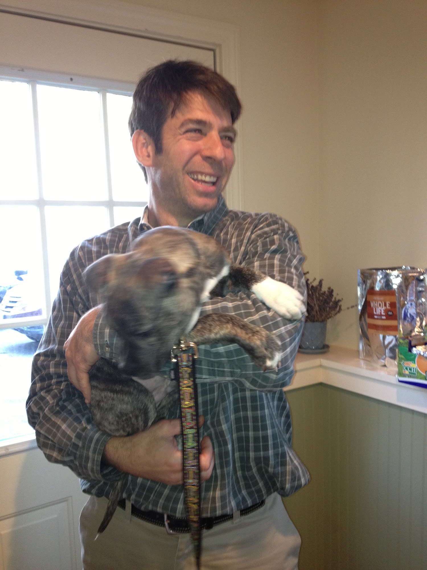 Landau Veterinary Services Belchertown