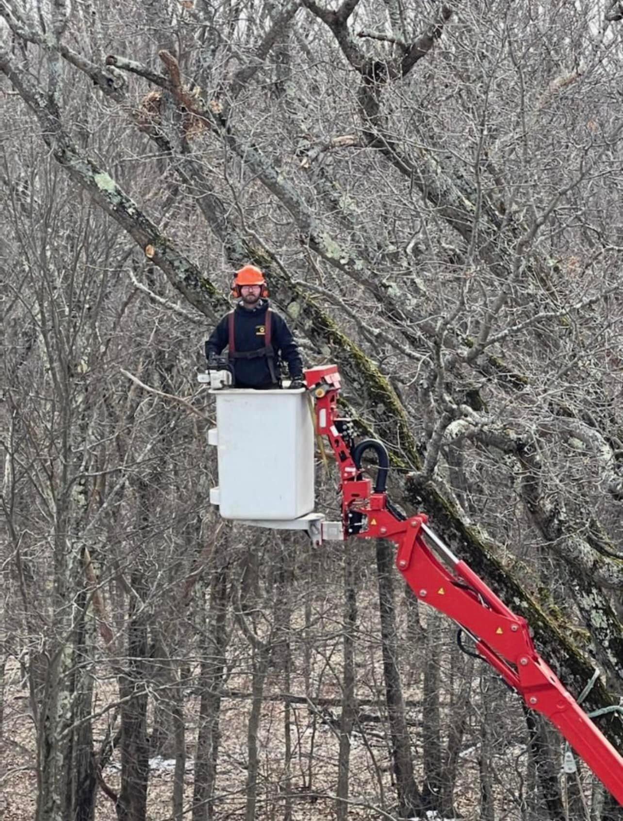 Photo credit: nextdoor