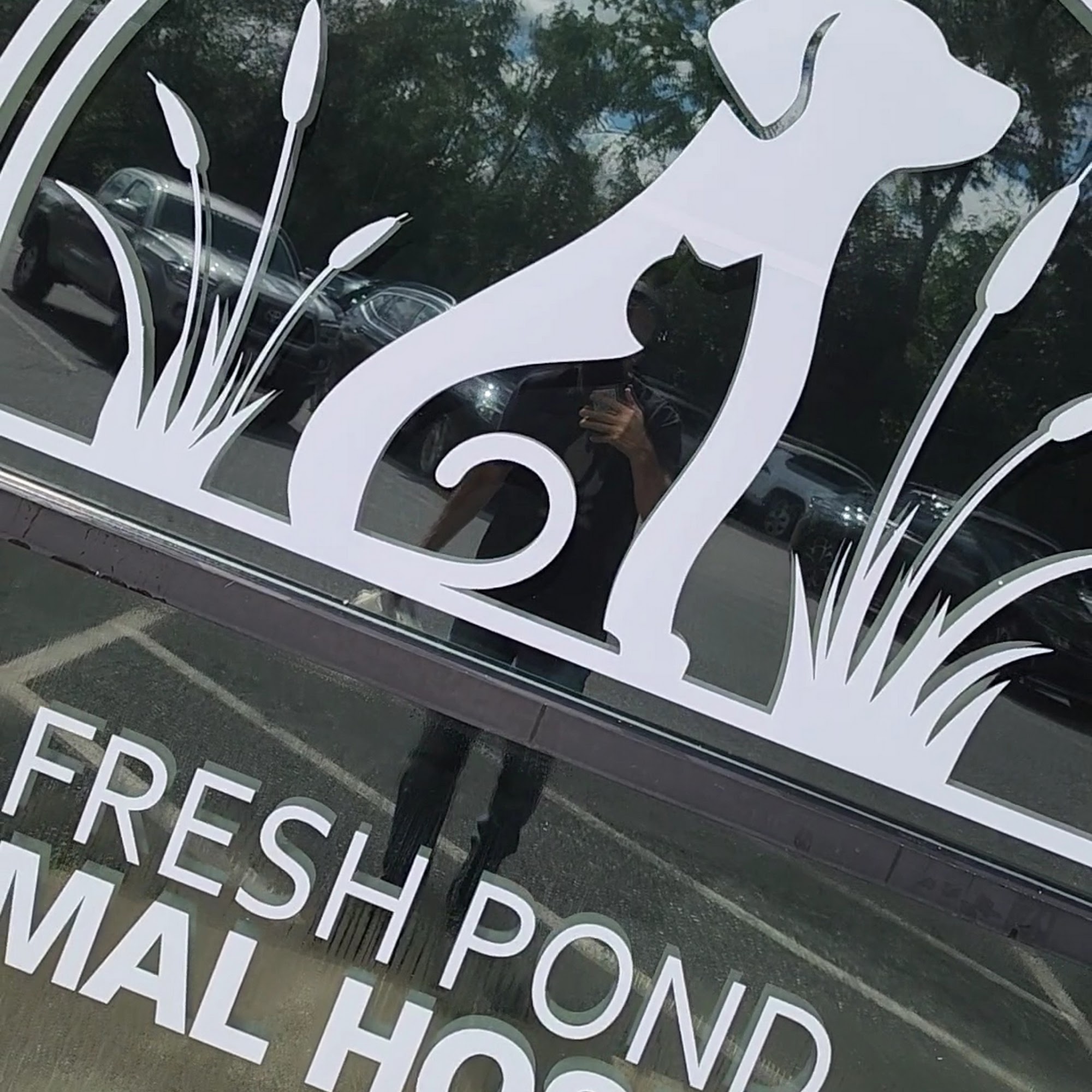 Fresh Pond Animal Hospital Belmont