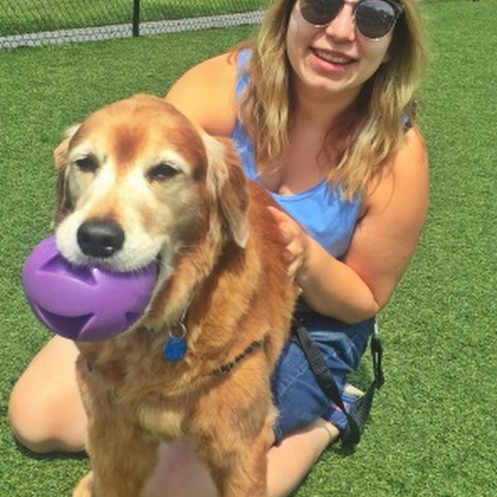 Above & Beyond Pet Services Belmont