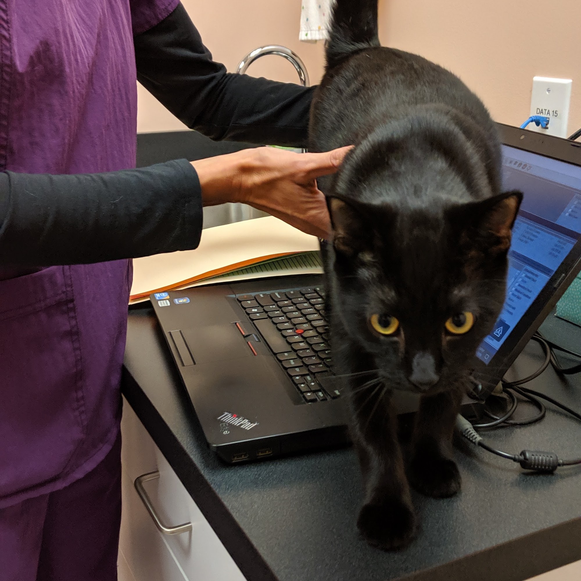 Beverly Animal Natural Health Beverly