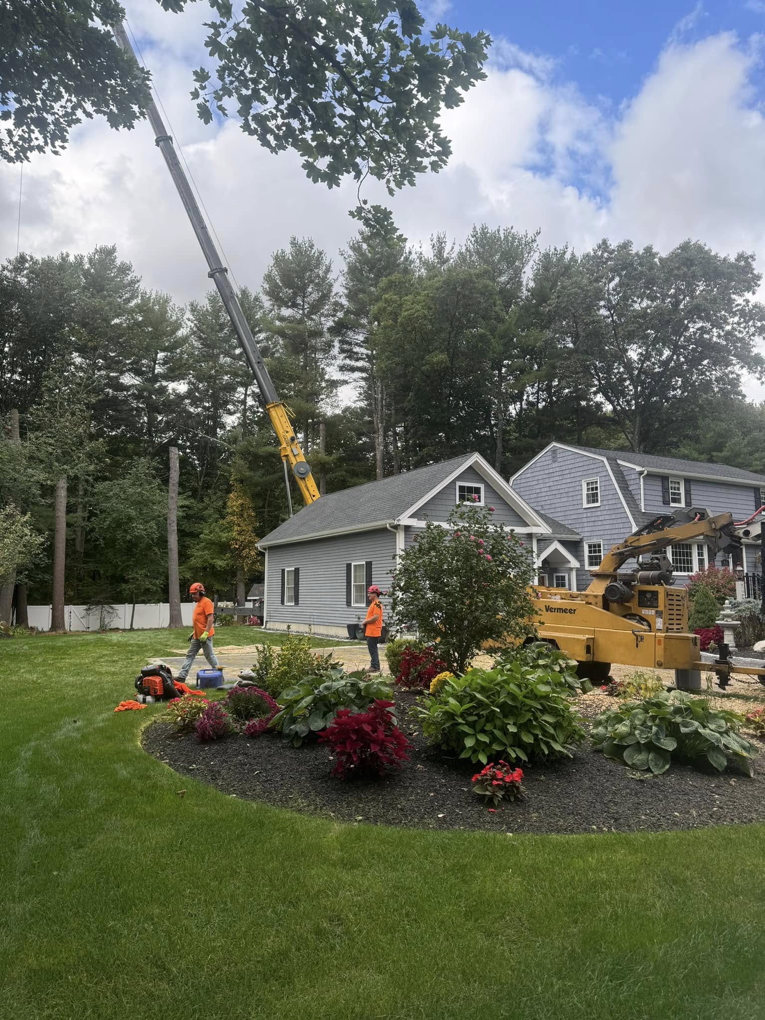 Lord's Tree Service LLC