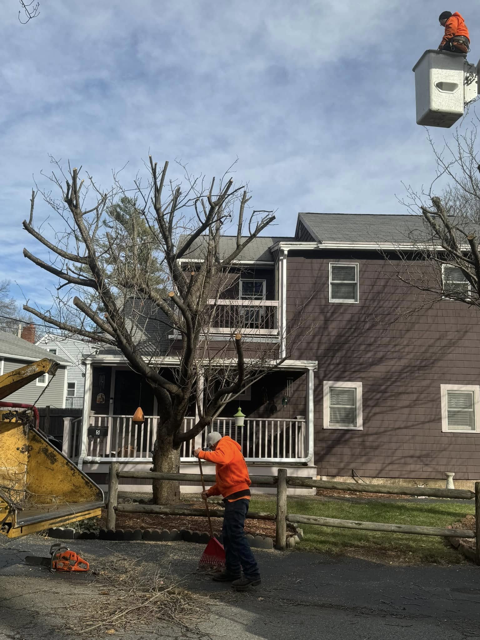 Lord's Tree Service LLC