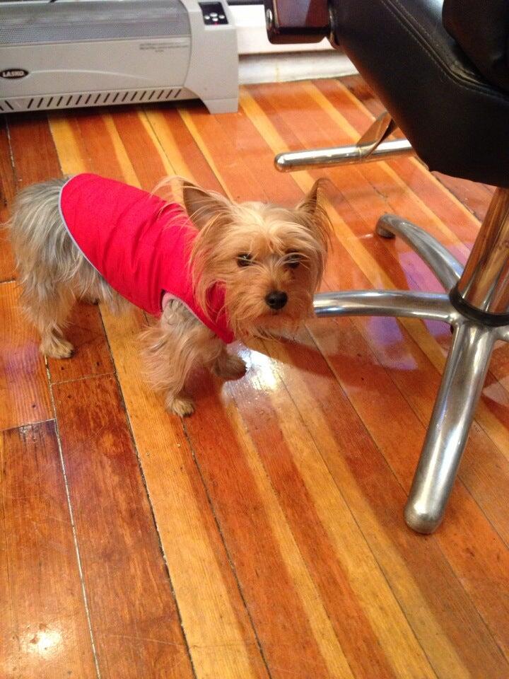 Photo credit: nextdoor