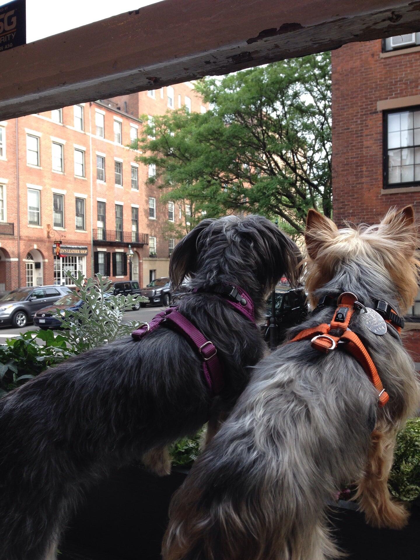 Photo credit: nextdoor