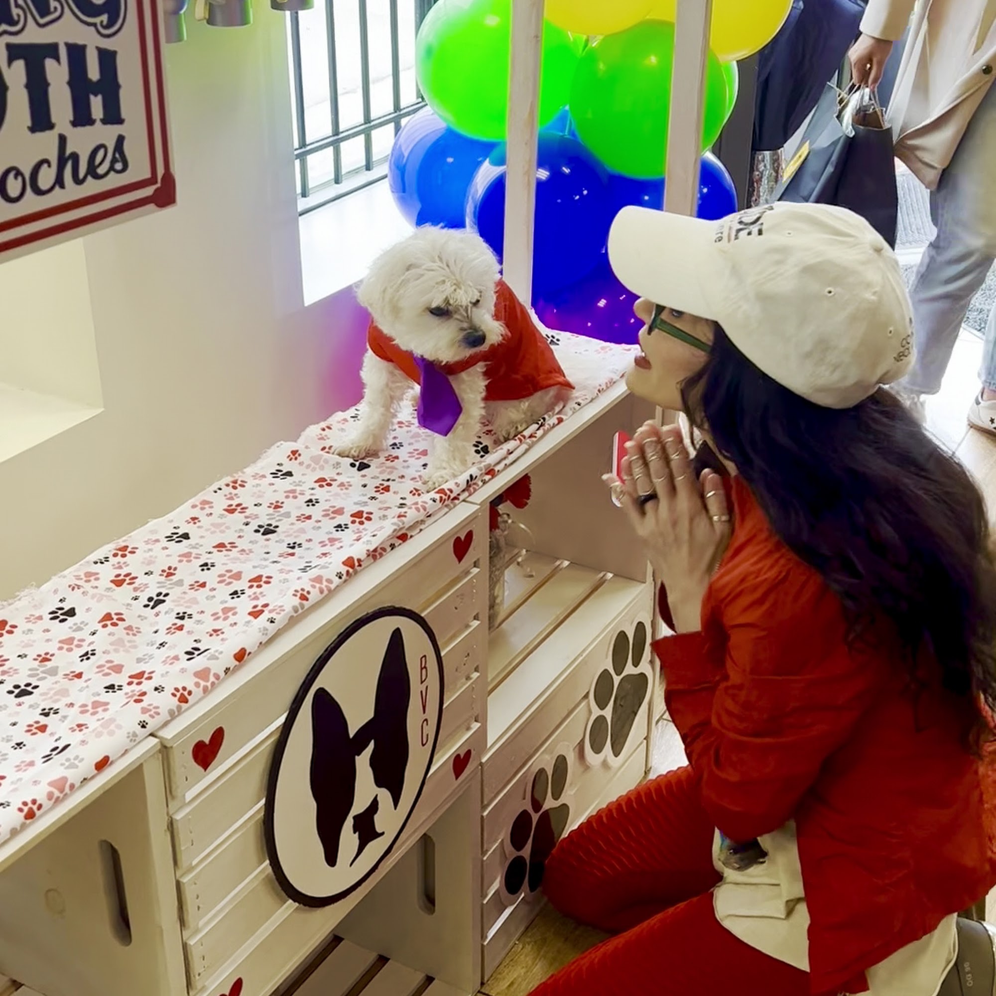 Boston Veterinary Clinic Boston