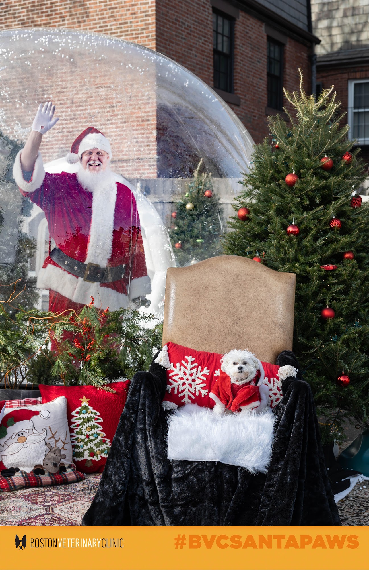 Boston Veterinary Clinic Boston